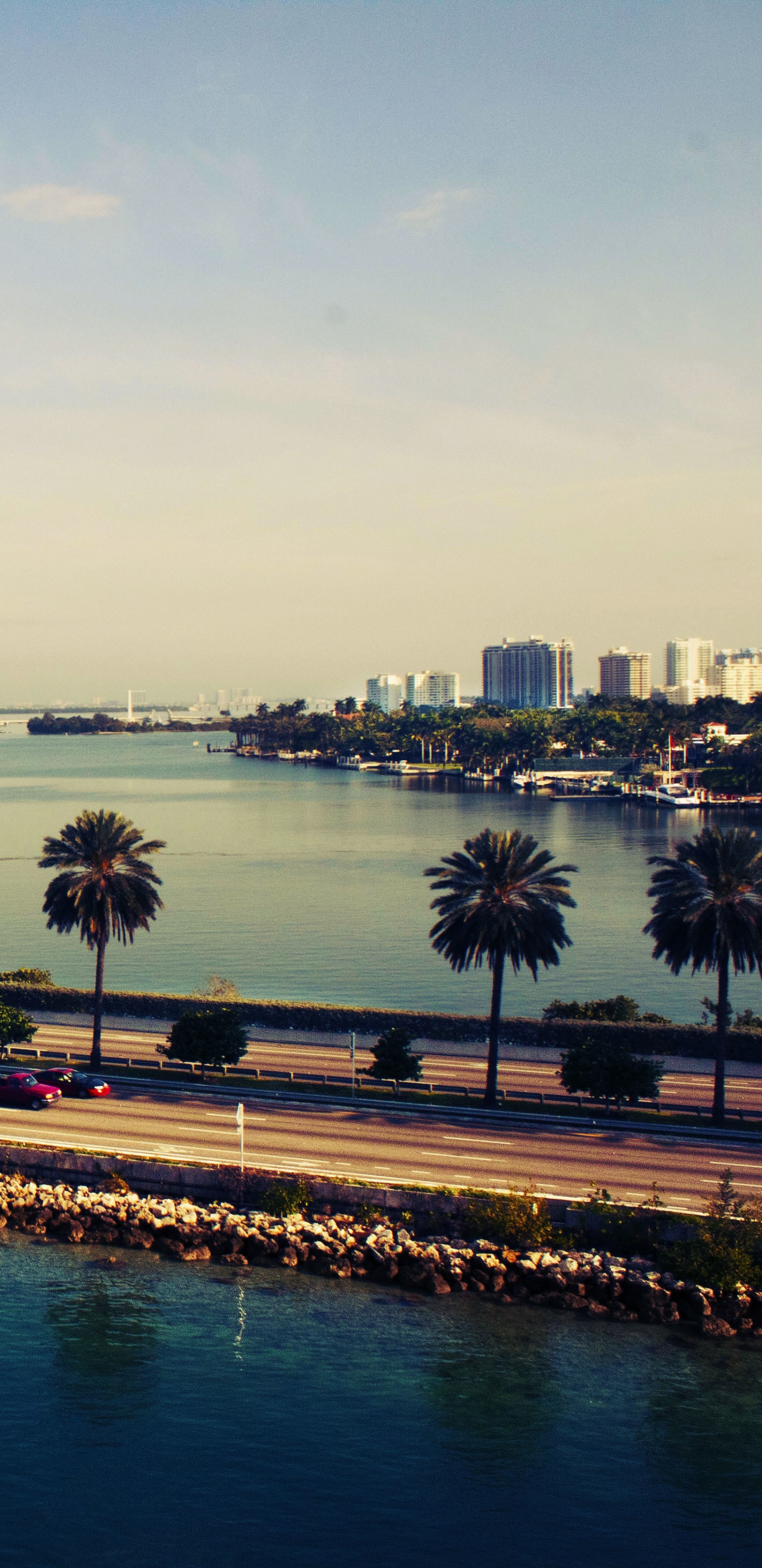 Palmiers Près D'un Plan D'eau Pendant la Journée. Wallpaper in 1440x2960 Resolution