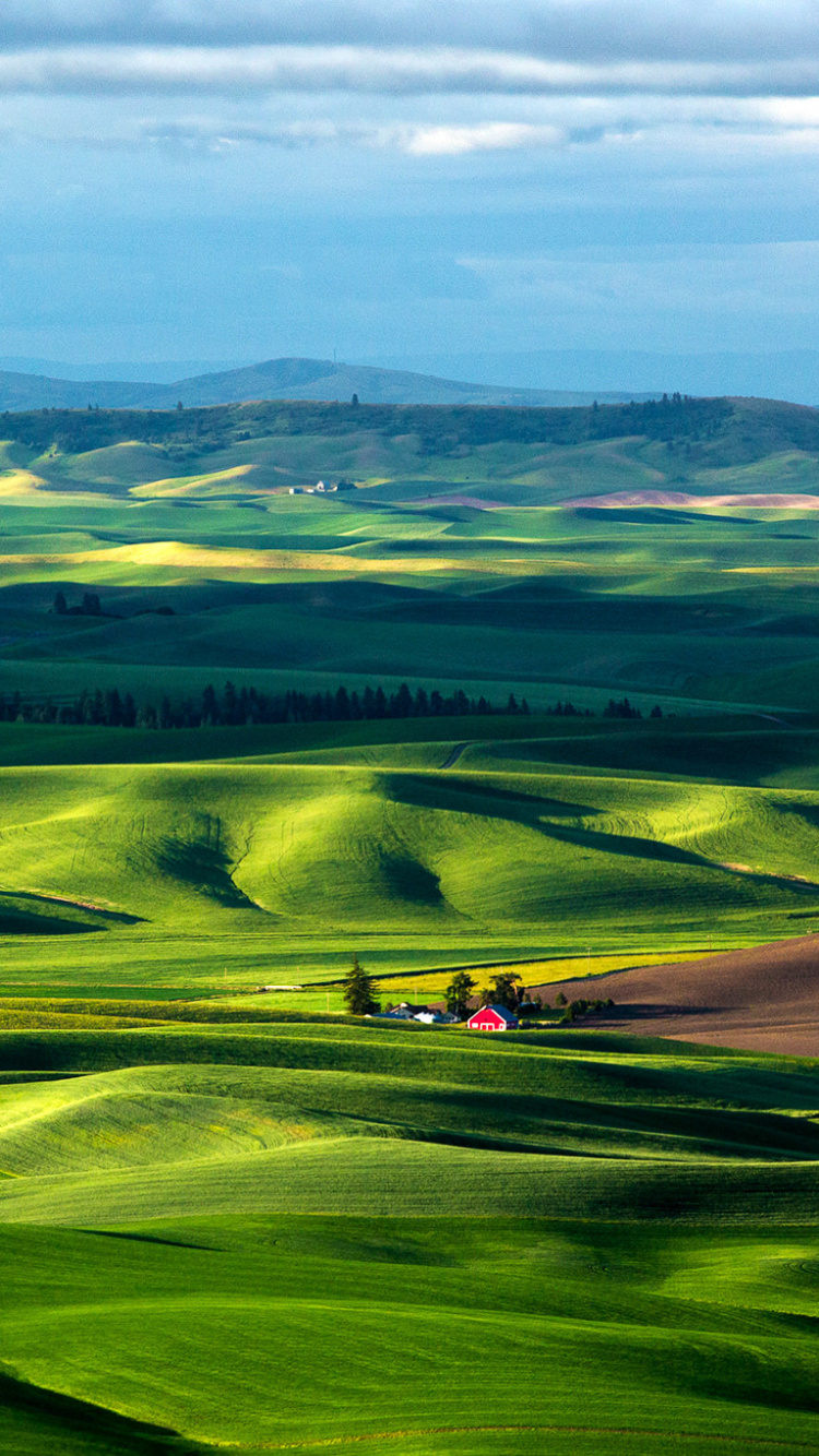Green Grass Field Under White Clouds During Daytime. Wallpaper in 750x1334 Resolution