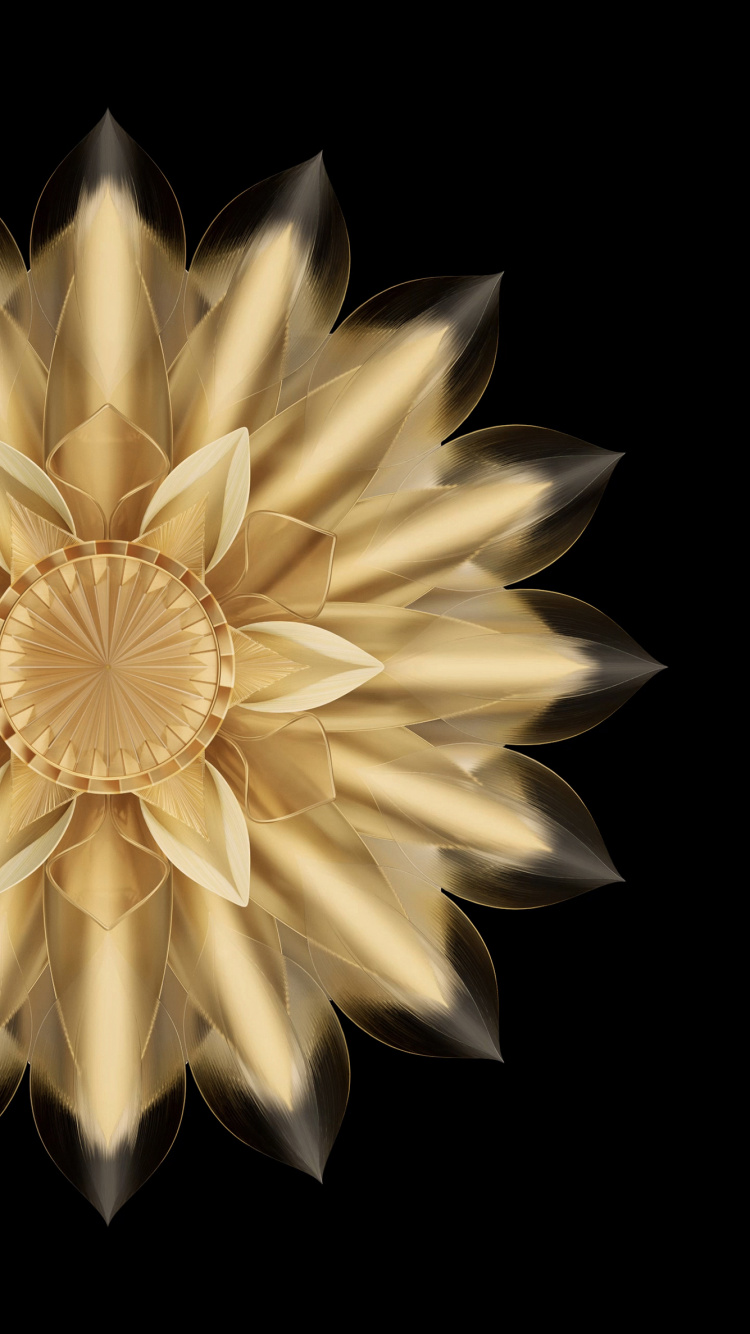 Honor Magic V2, Honor, Honor 90, Foldable Smartphone, Smartphone. Wallpaper in 750x1334 Resolution