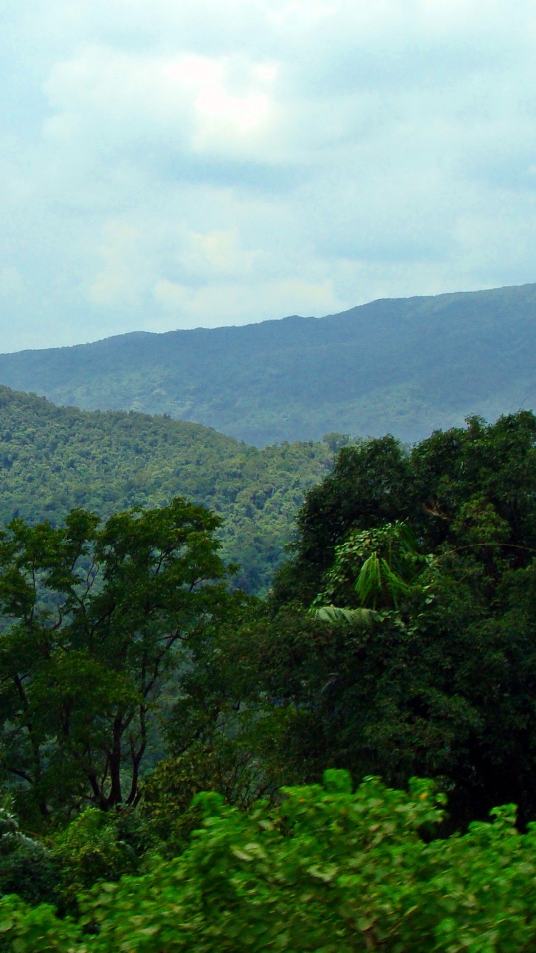 Green Trees on Mountain Under White Clouds During Daytime. Wallpaper in 1080x1920 Resolution