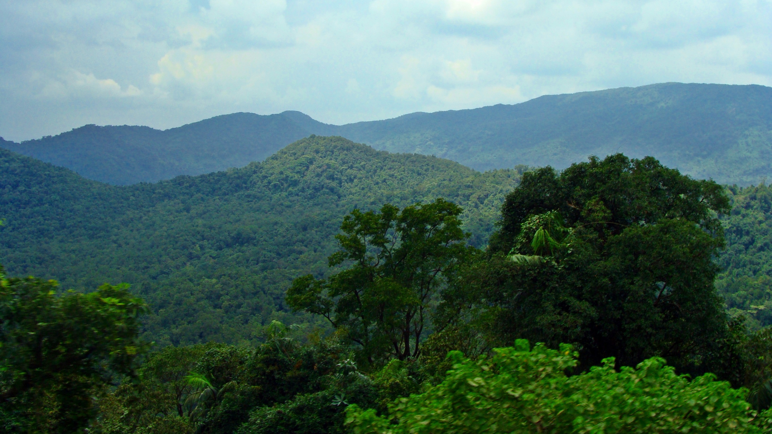 Green Trees on Mountain Under White Clouds During Daytime. Wallpaper in 2560x1440 Resolution