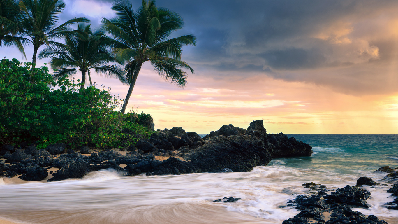 Green Palm Tree on White Sand Beach During Daytime. Wallpaper in 1366x768 Resolution