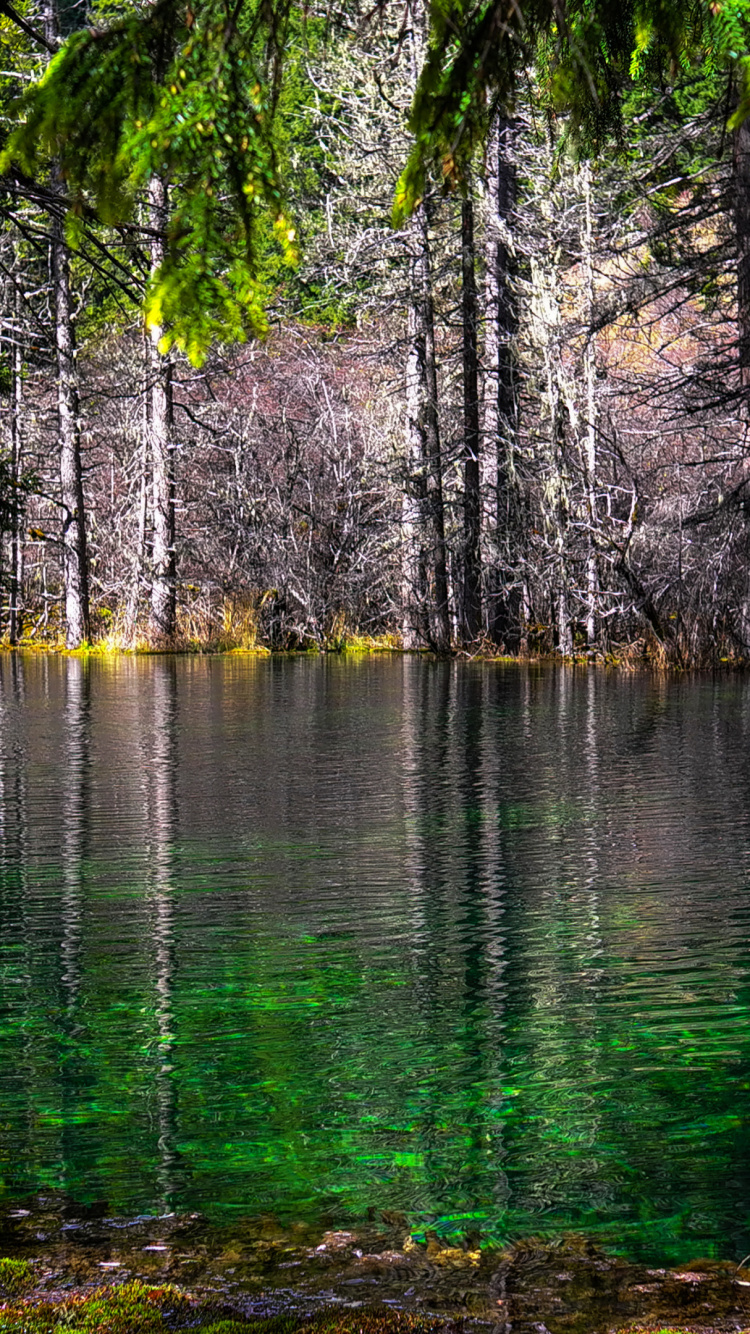 Eau, Les Ressources en Eau, L'écorégion, Feuille, Paysage Naturel. Wallpaper in 750x1334 Resolution