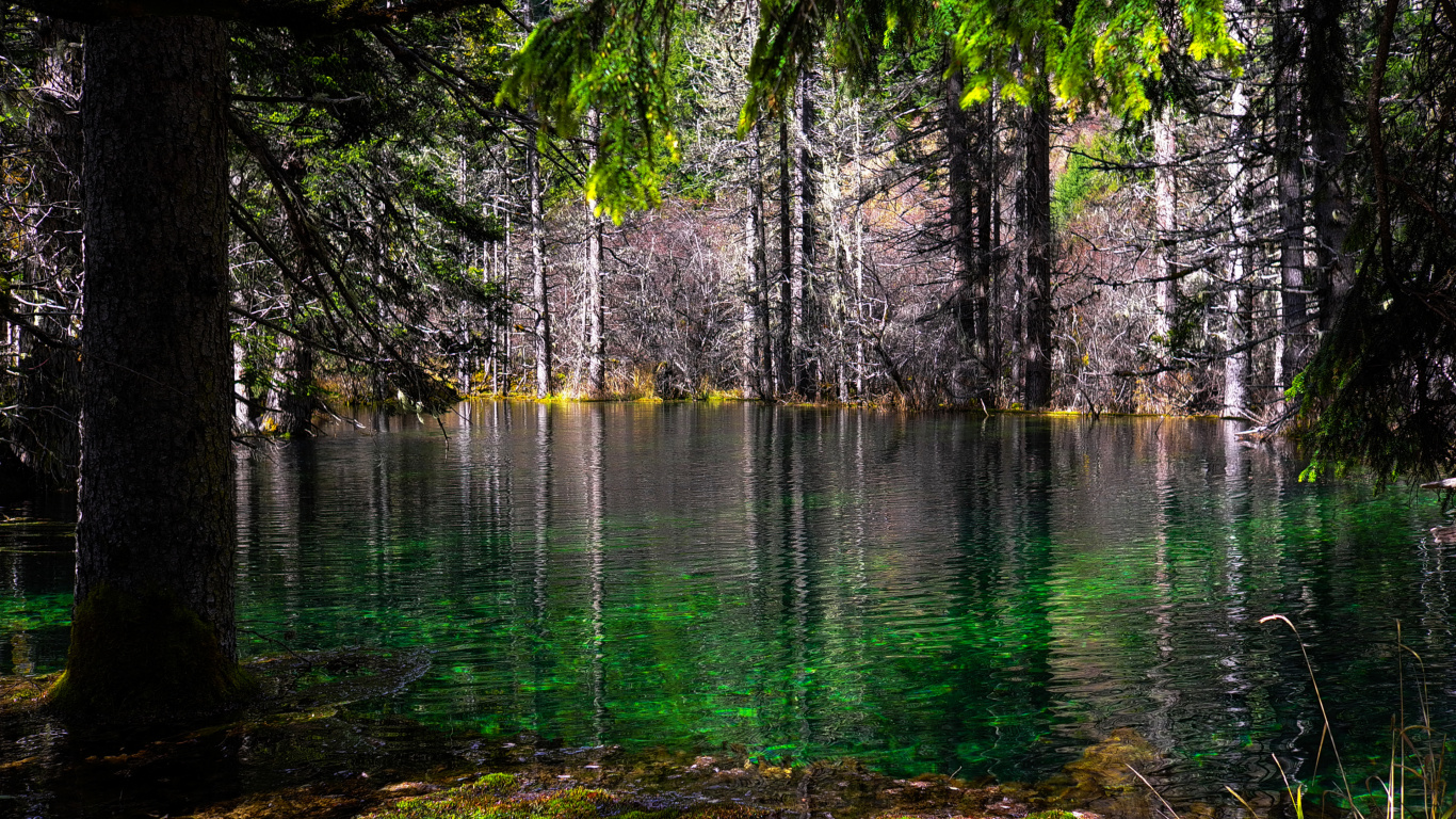 Wasser, Wasserressourcen, Ökoregion, Blatt, Naturlandschaft. Wallpaper in 1366x768 Resolution