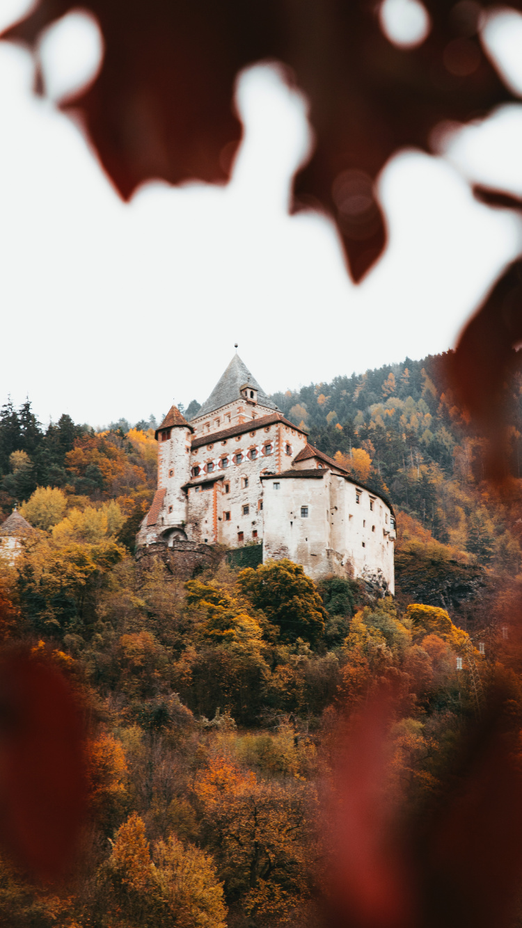 Castillo de Hormigón Blanco y Negro Rodeado de Árboles.. Wallpaper in 750x1334 Resolution