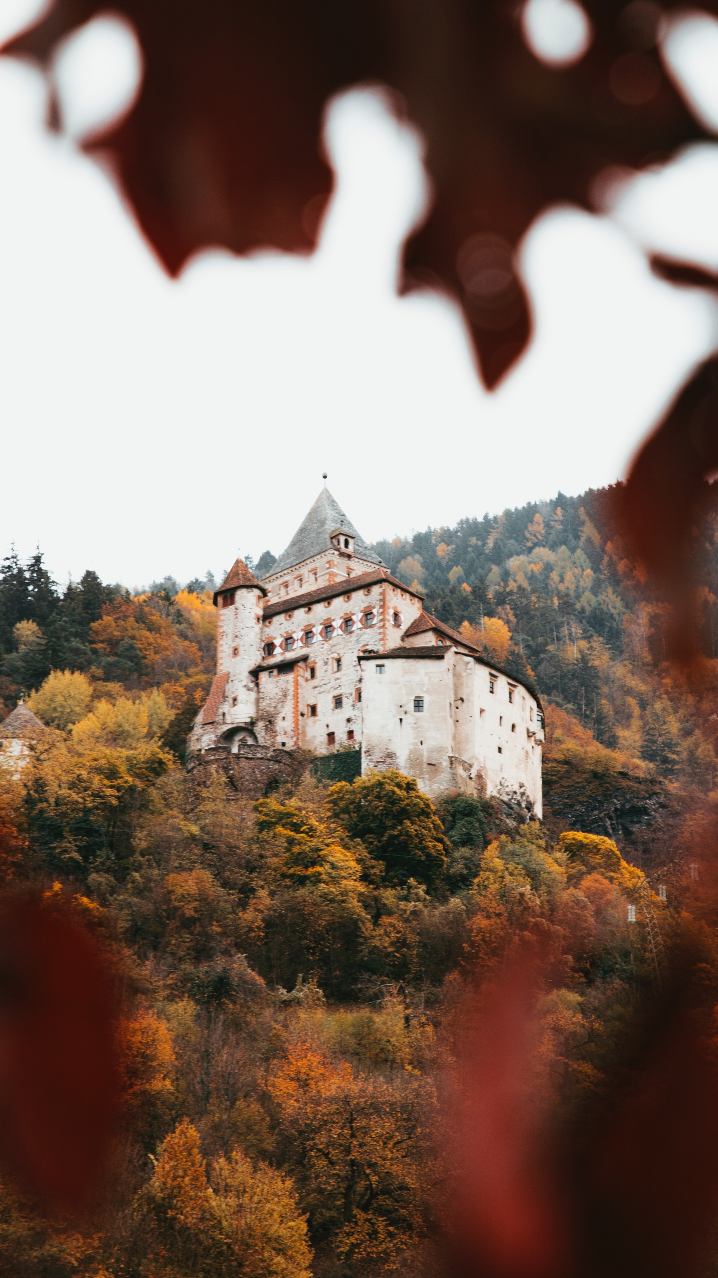 Château en Béton Blanc et Noir Entouré D'arbres. Wallpaper in 1440x2560 Resolution