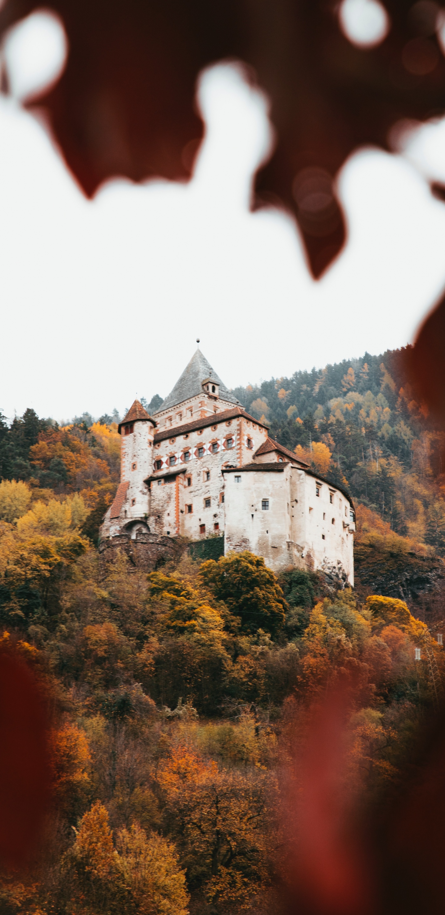 Weiße Und Schwarze Betonburg Umgeben Von Bäumen. Wallpaper in 1440x2960 Resolution