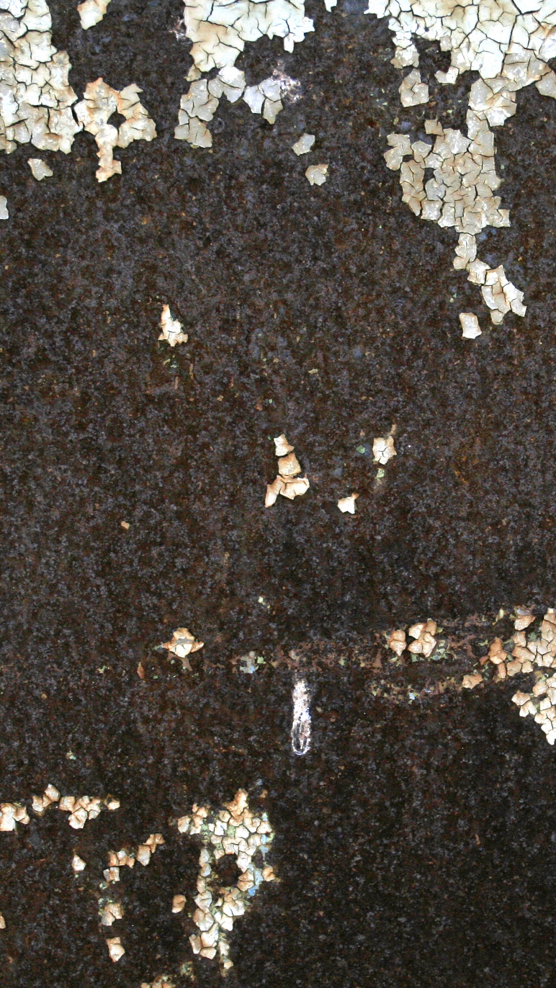 生锈, 的土壤, 的信息, 金属, 指甲 壁纸 1080x1920 允许