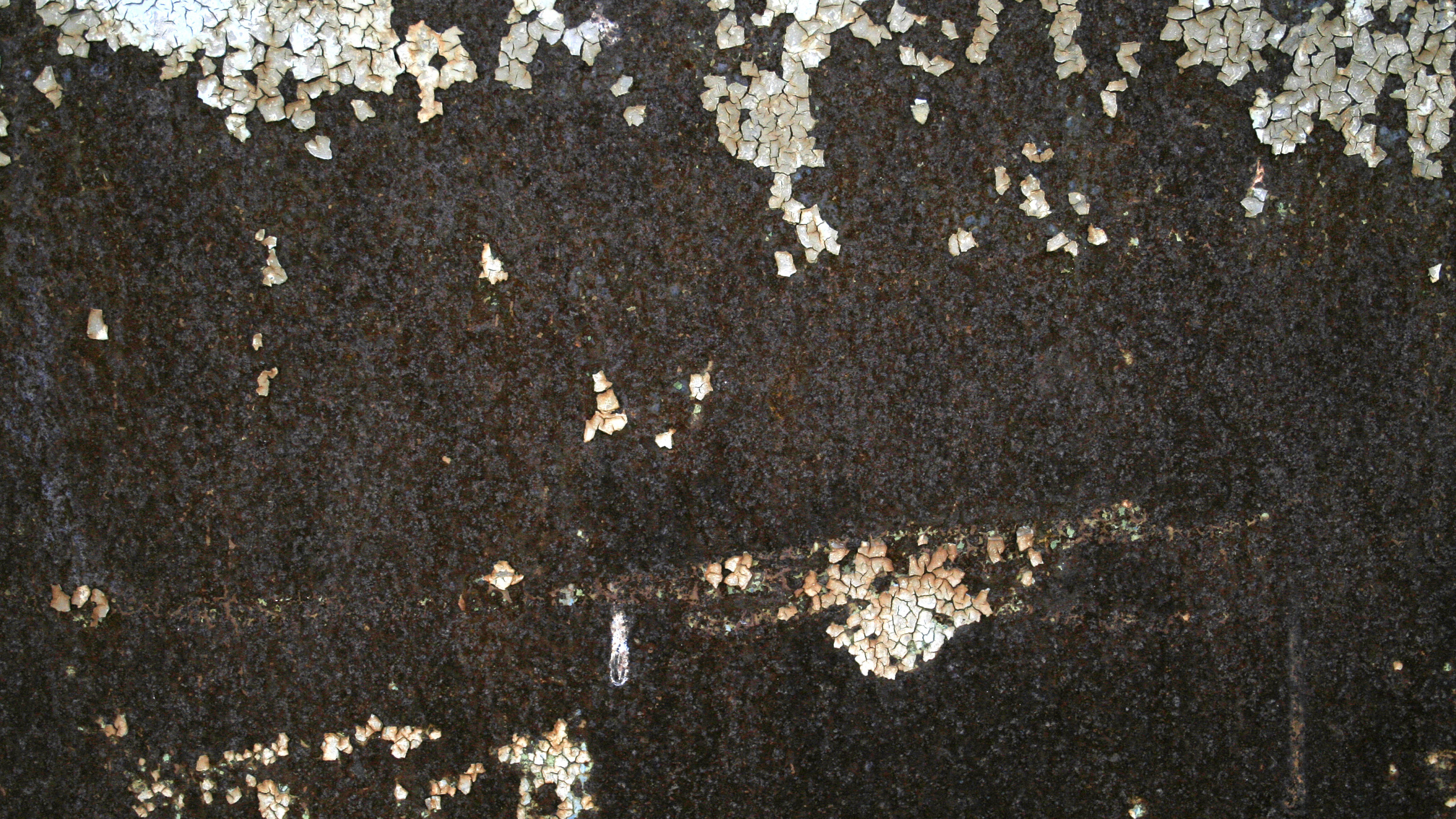 Weißes Und Schwarzes Florales Textil. Wallpaper in 2560x1440 Resolution