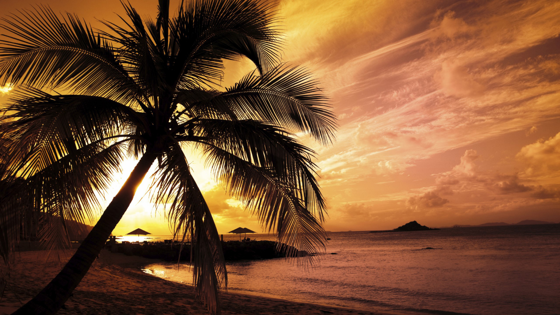 Palmier Sur la Plage au Coucher du Soleil. Wallpaper in 1920x1080 Resolution