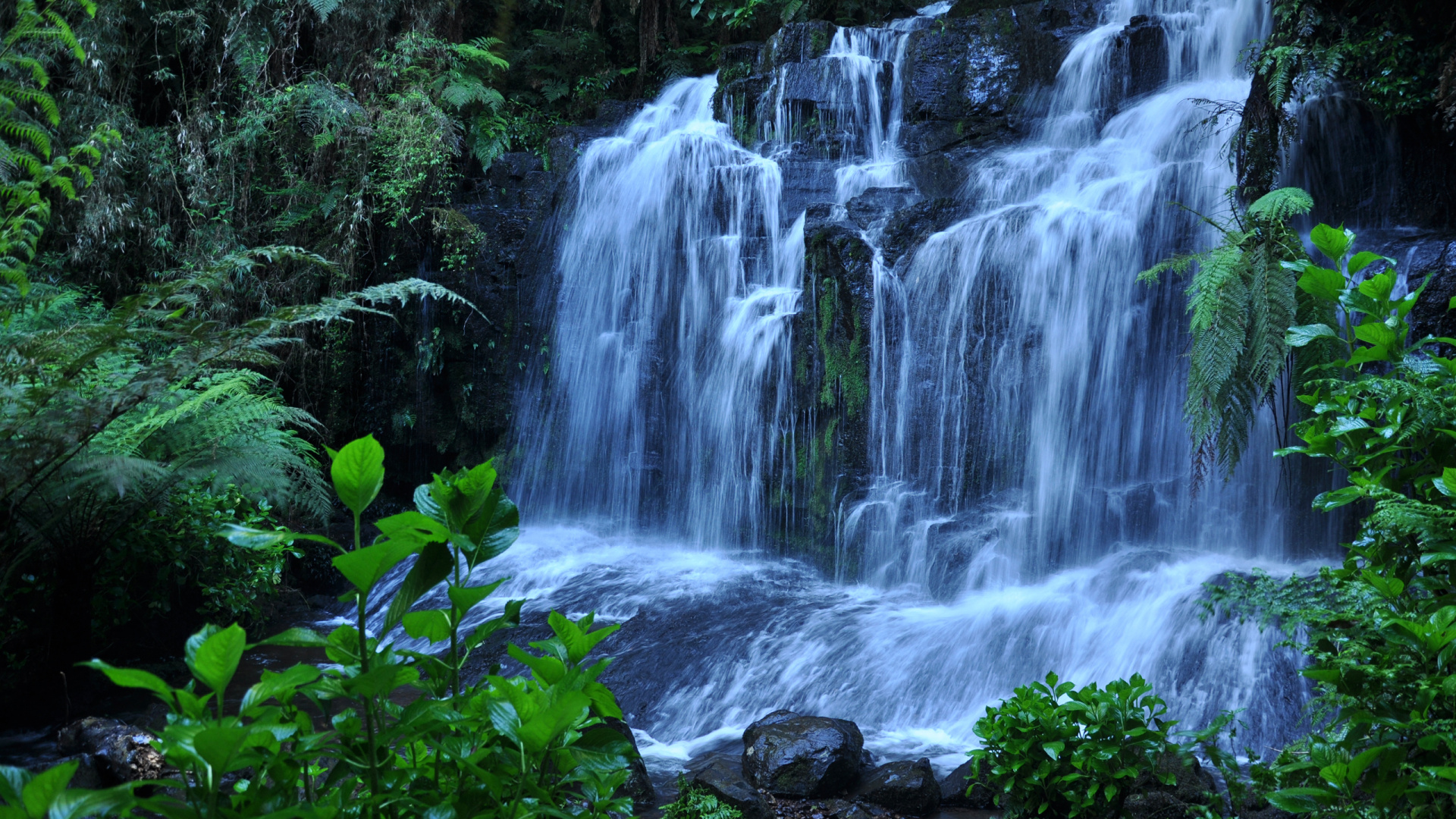 Water Falls in The Middle of Green Moss Covered Rocks. Wallpaper in 1920x1080 Resolution