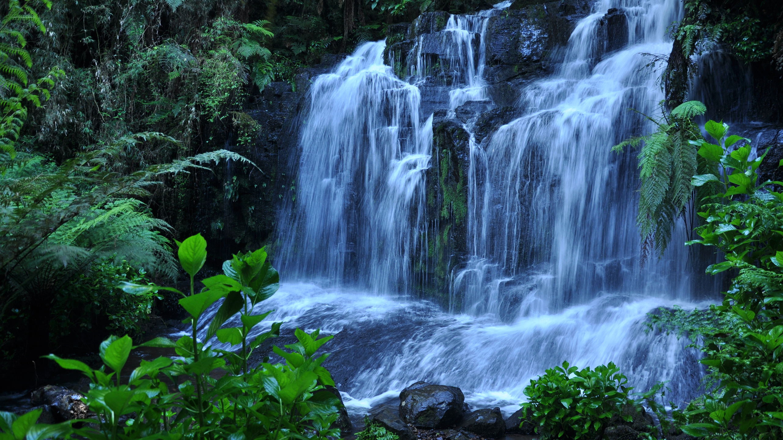 Water Falls in The Middle of Green Moss Covered Rocks. Wallpaper in 2560x1440 Resolution