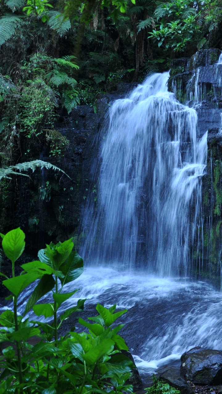 El Agua Cae en Medio de Rocas Cubiertas de Musgo Verde.. Wallpaper in 720x1280 Resolution