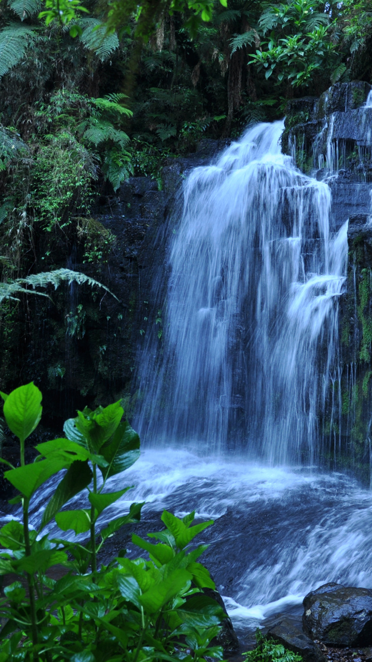 El Agua Cae en Medio de Rocas Cubiertas de Musgo Verde.. Wallpaper in 750x1334 Resolution