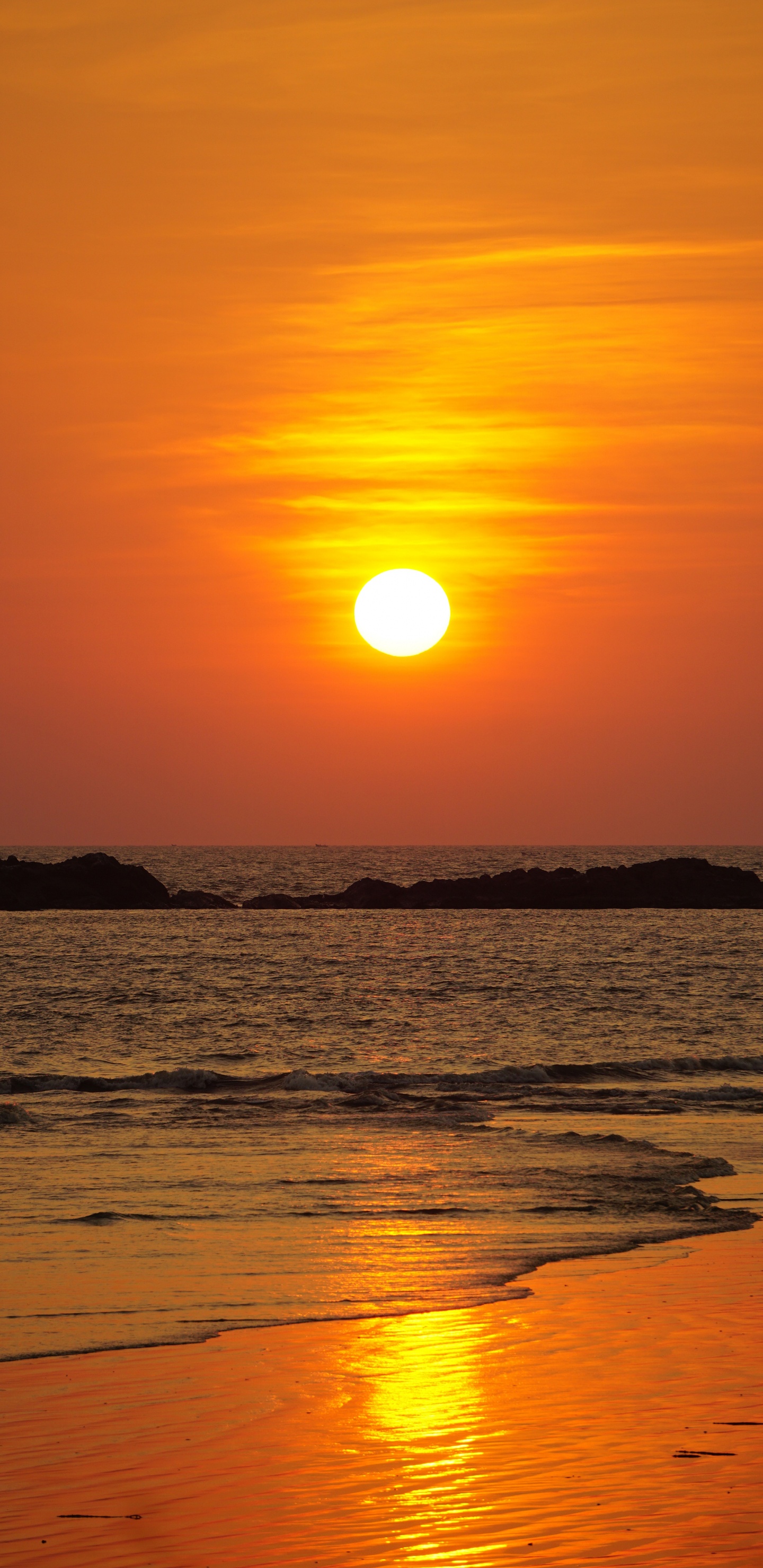 Horizont, Sonnenuntergang, Sonnenaufgang, Sonne, Afterglow. Wallpaper in 1440x2960 Resolution