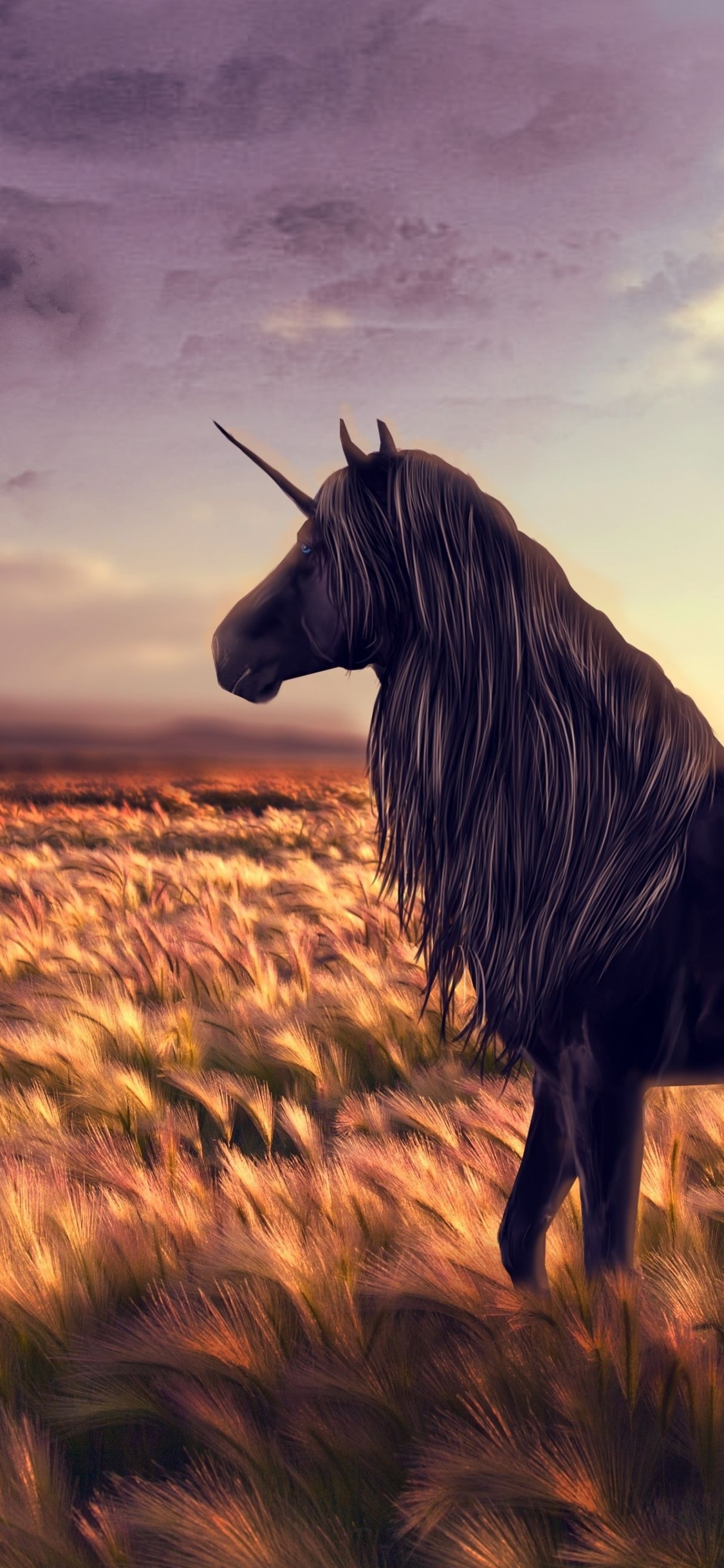 Chevaux Sur Terrain D'herbe Brune Sous Ciel Nuageux. Wallpaper in 1125x2436 Resolution