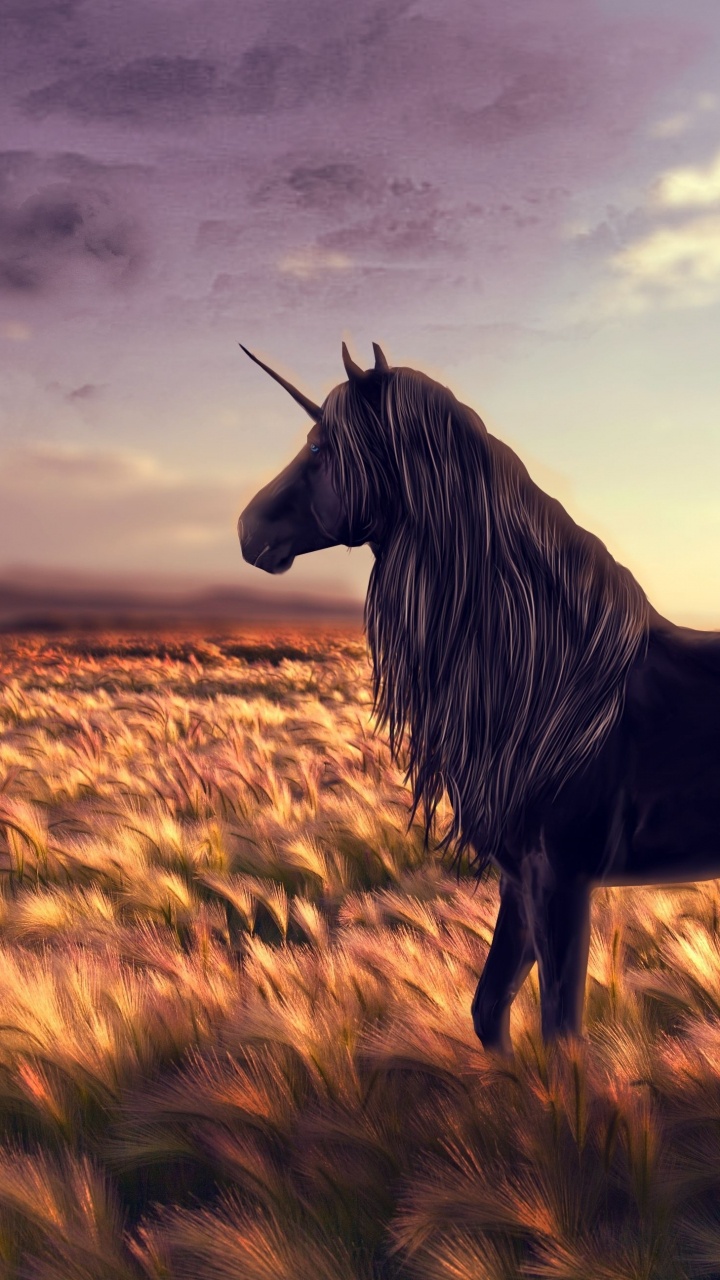 Horses on Brown Grass Field Under Cloudy Sky. Wallpaper in 720x1280 Resolution