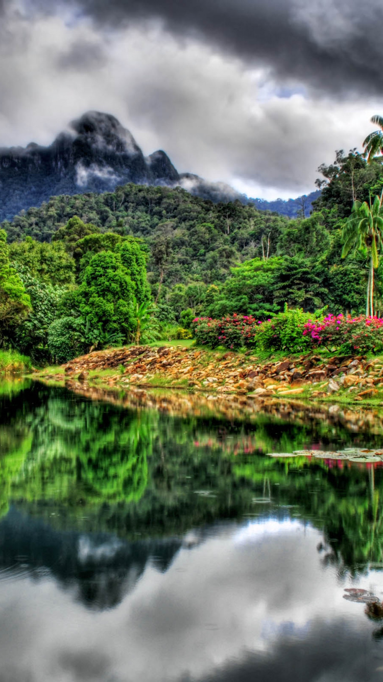 Green Trees Near Lake Under Cloudy Sky During Daytime. Wallpaper in 750x1334 Resolution