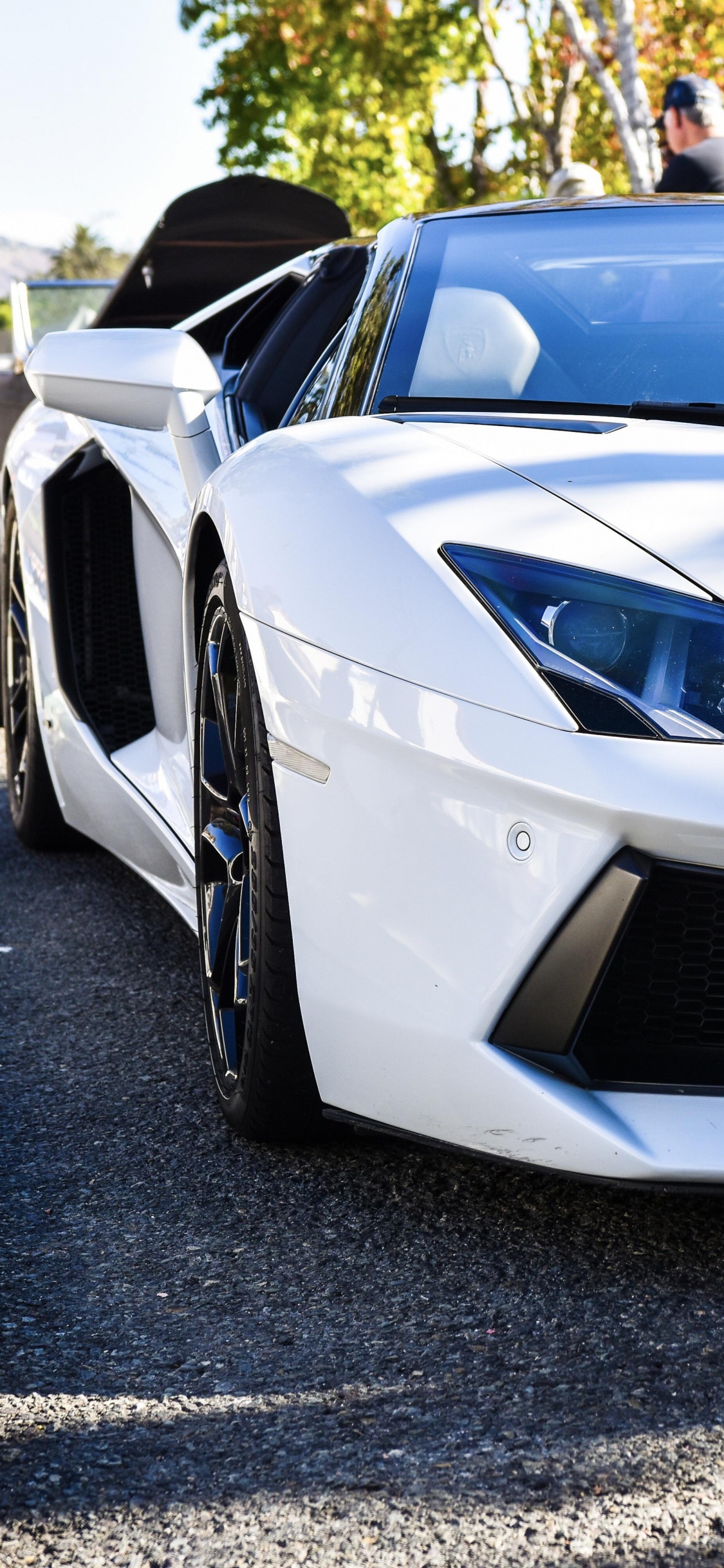 Lamborghini Aventador, Lamborghini Gallardo, Car, Leichtmetallrad, Supercar. Wallpaper in 1125x2436 Resolution