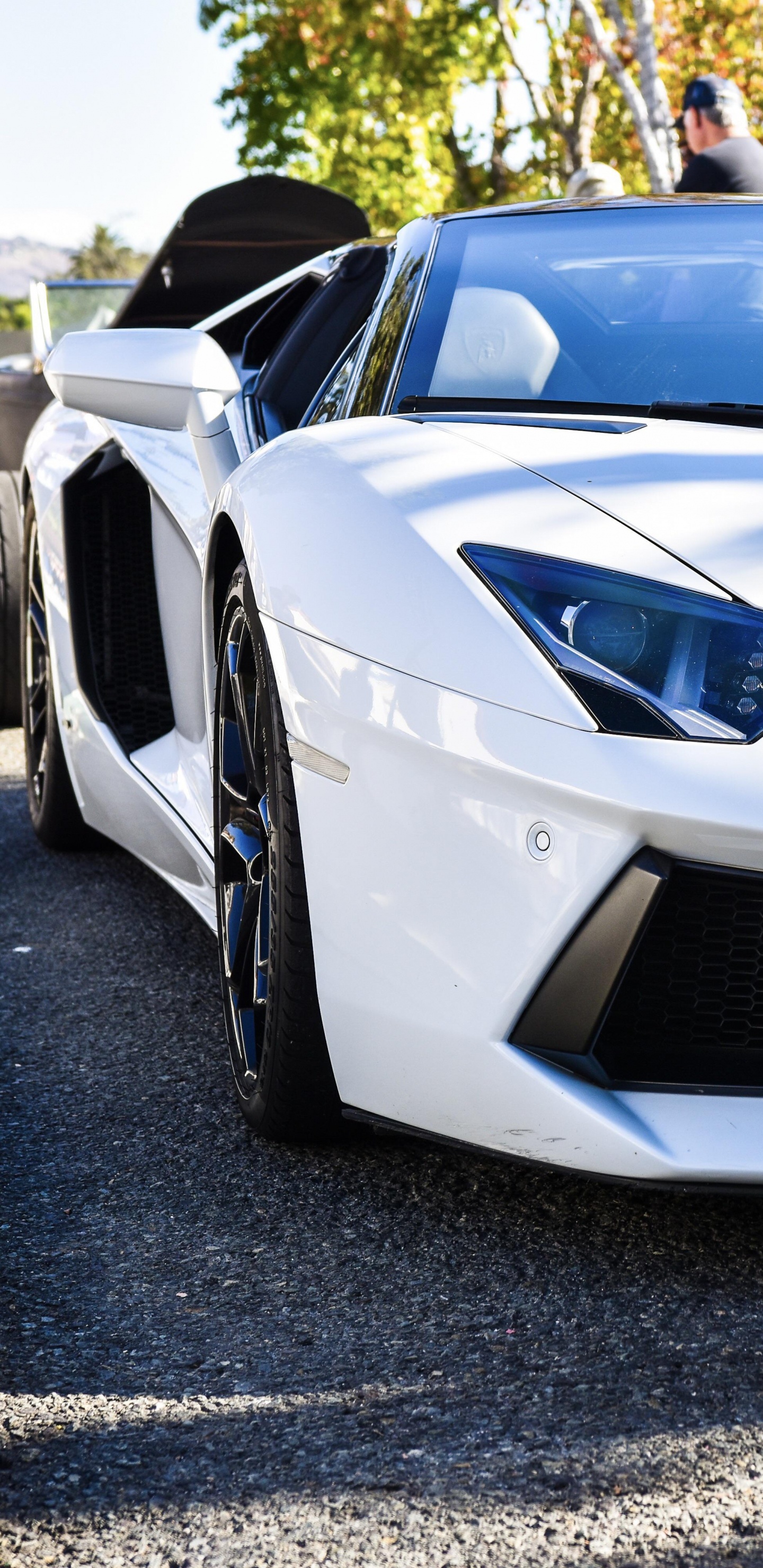 Lamborghini Aventador, Lamborghini Gallardo, Coche, Llanta de Aleación, Supercoche. Wallpaper in 1440x2960 Resolution