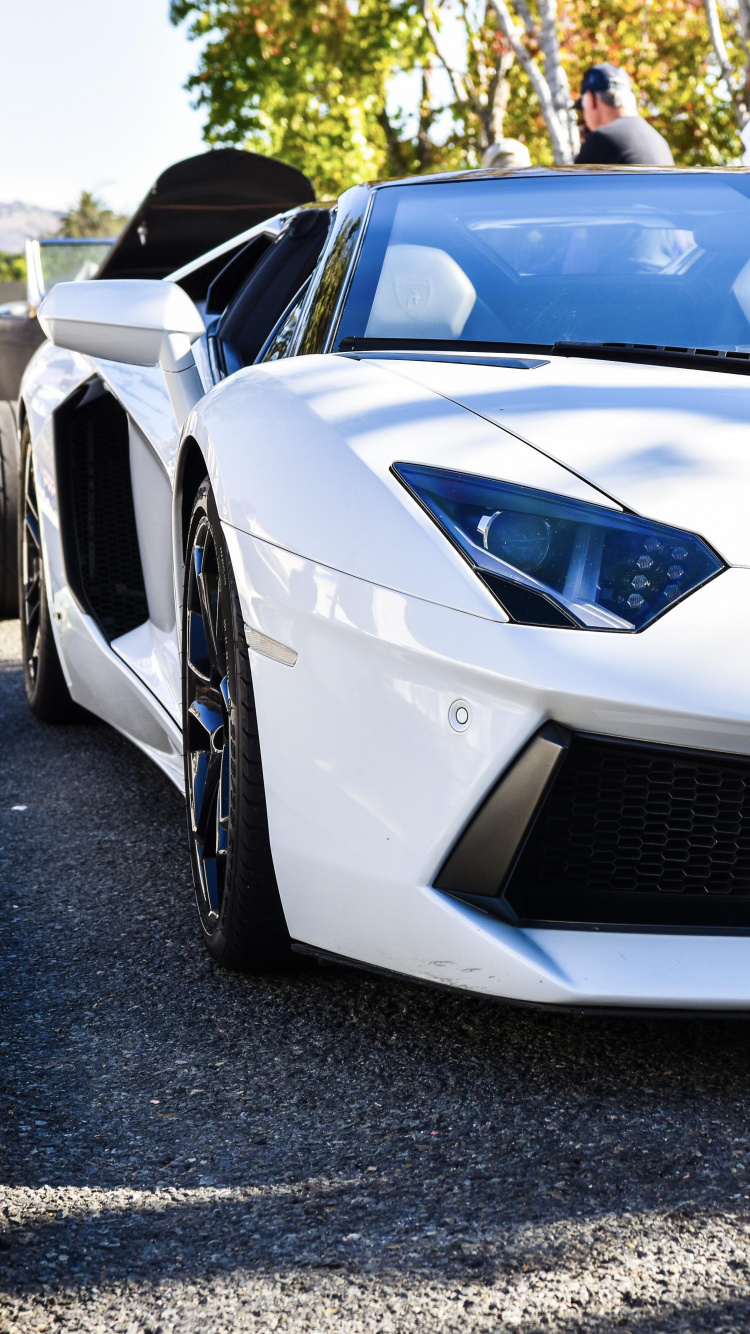 Lamborghini Aventador, Lamborghini Gallardo, Coche, Llanta de Aleación, Supercoche. Wallpaper in 750x1334 Resolution