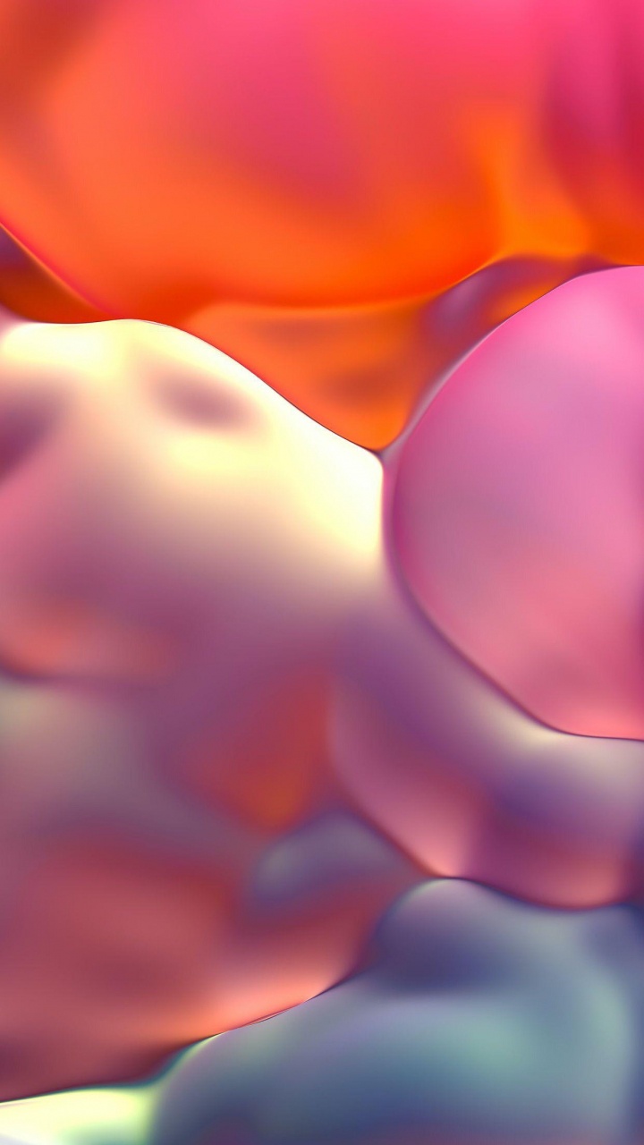 Flower, Purple, Petal, Orange, Pink. Wallpaper in 720x1280 Resolution