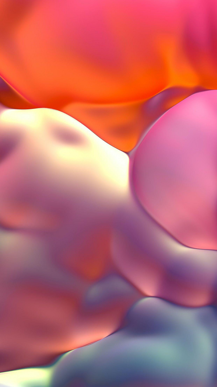 Flower, Purple, Petal, Orange, Pink. Wallpaper in 750x1334 Resolution