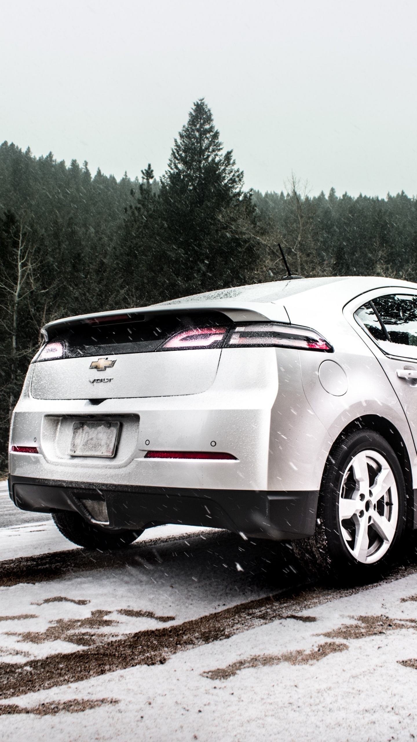 电动汽车, 轿车 壁纸 1440x2560 允许