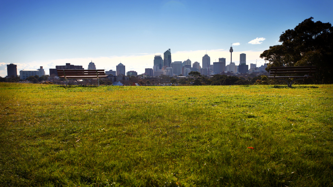 Green Grass Field Near City Buildings During Daytime. Wallpaper in 1366x768 Resolution