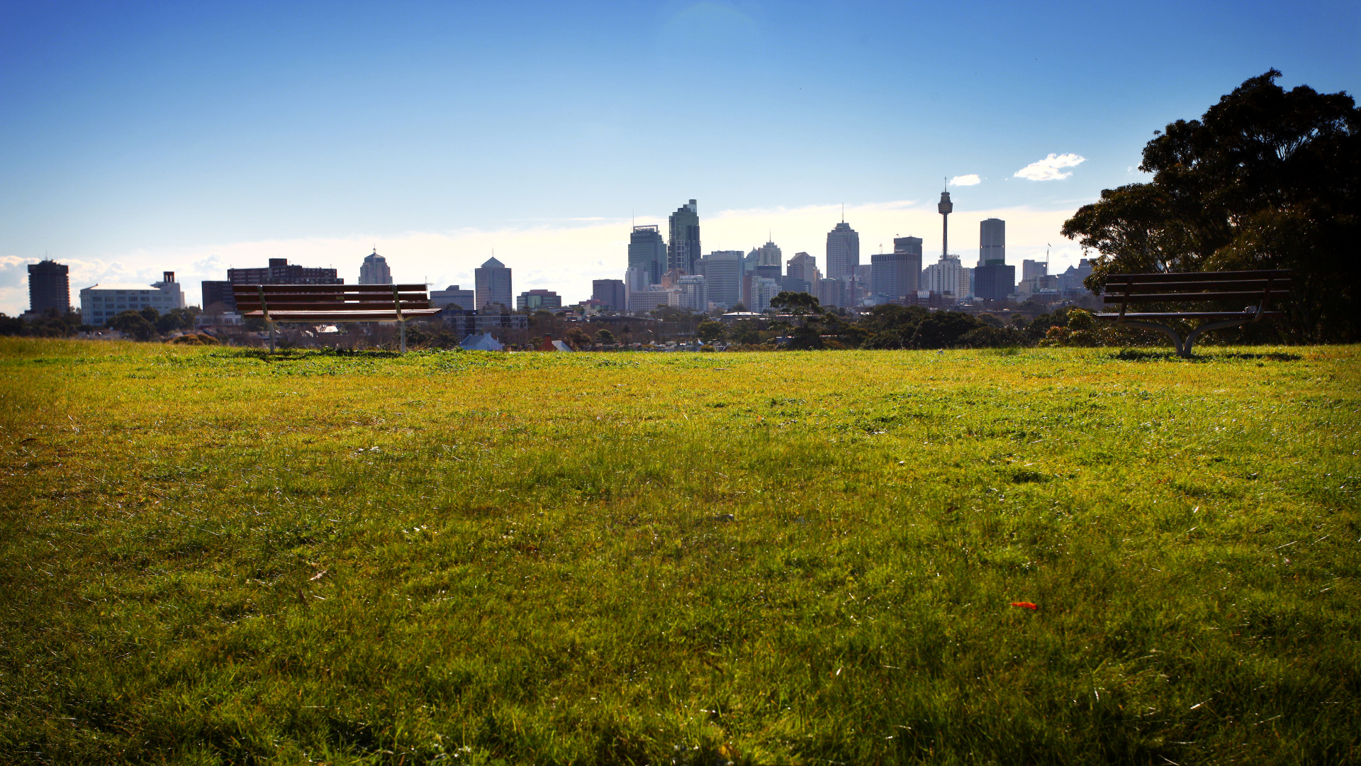 Green Grass Field Near City Buildings During Daytime. Wallpaper in 1920x1080 Resolution