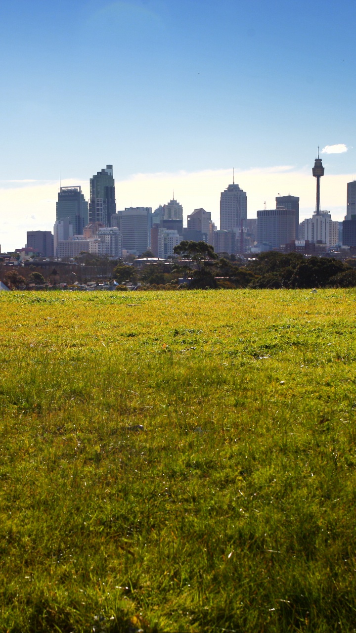Green Grass Field Near City Buildings During Daytime. Wallpaper in 720x1280 Resolution