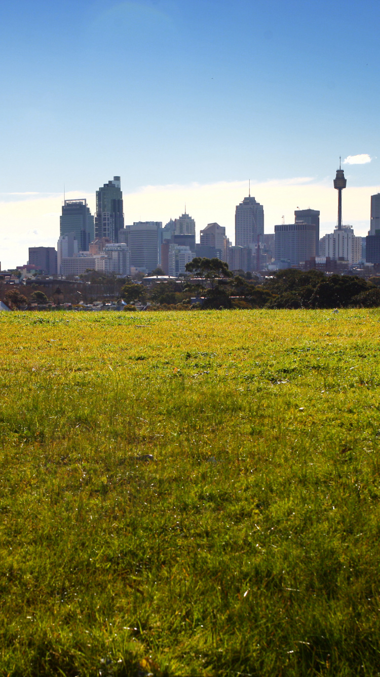 Green Grass Field Near City Buildings During Daytime. Wallpaper in 750x1334 Resolution