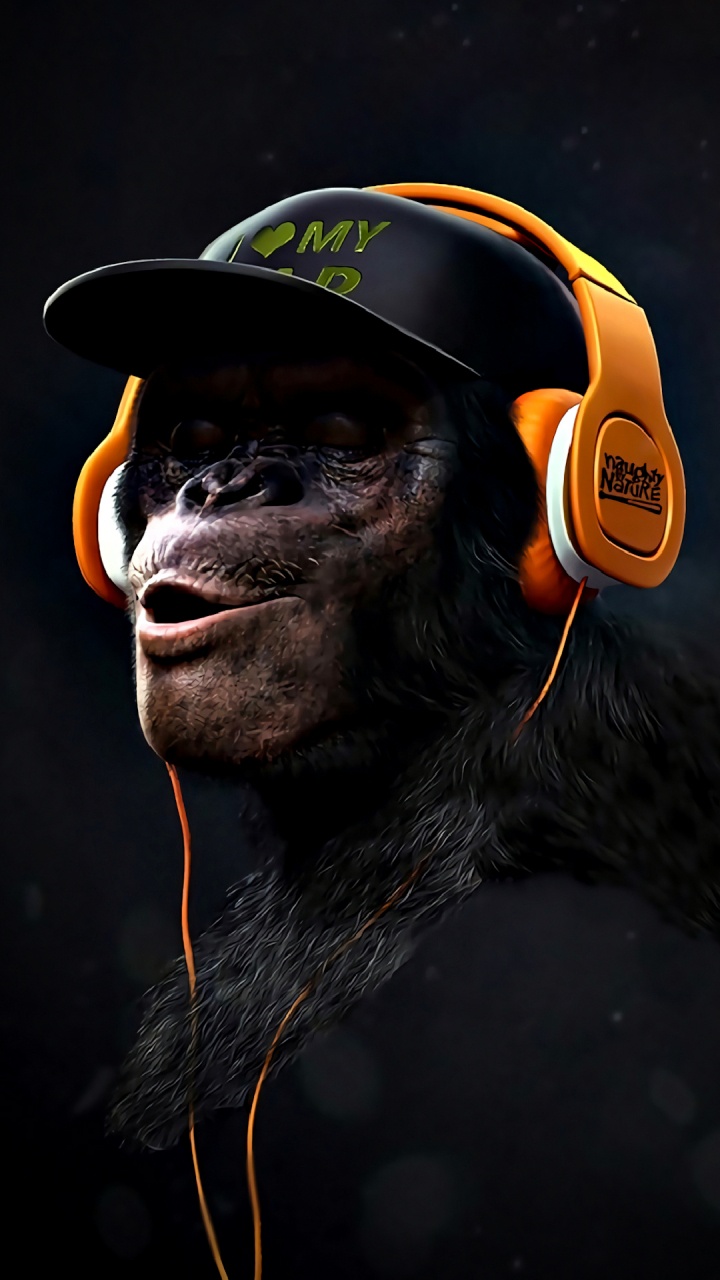 Butin de Singe, Affiche, Art, Primat, Hat. Wallpaper in 720x1280 Resolution
