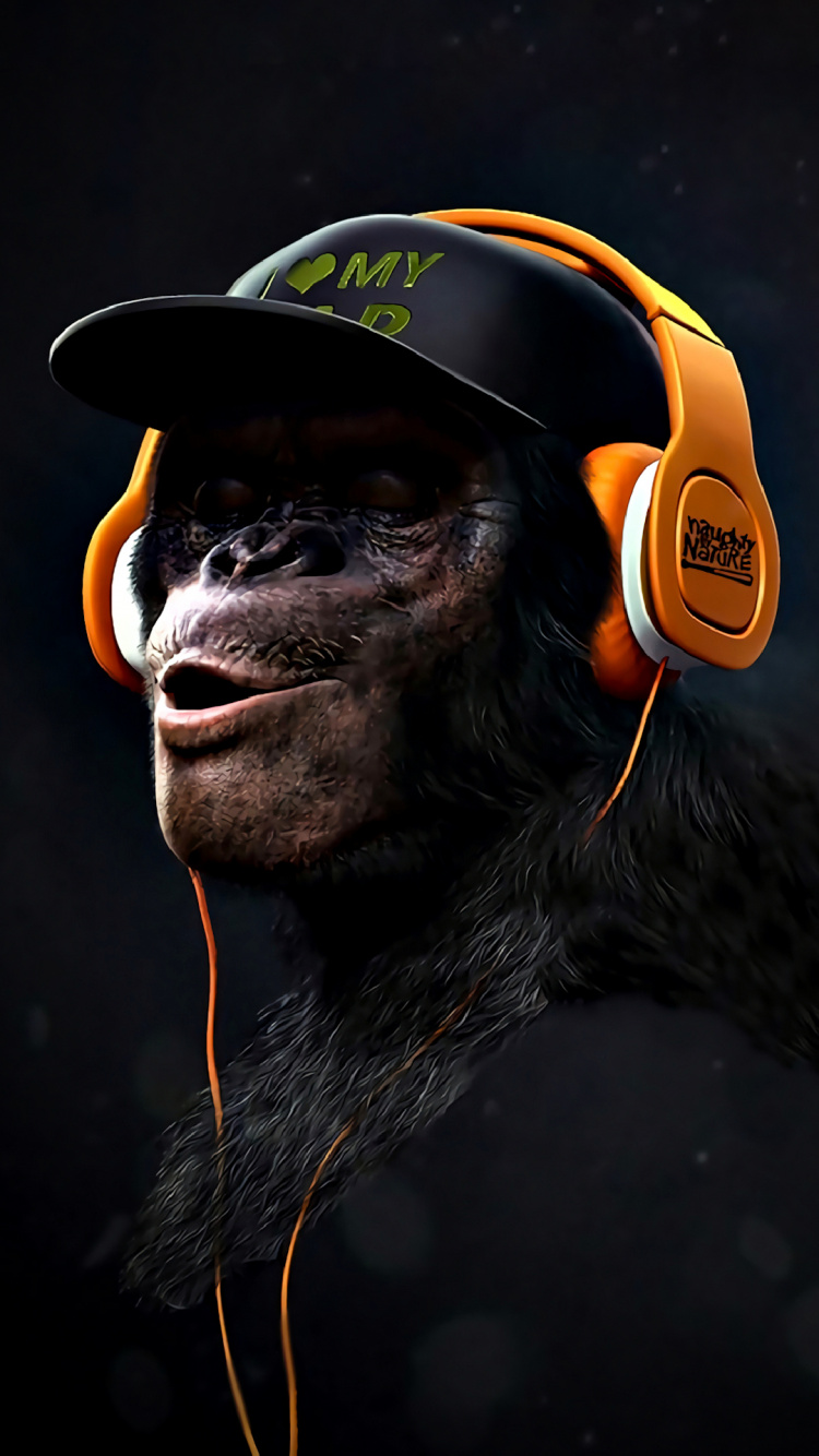 Butin de Singe, Affiche, Art, Primat, Hat. Wallpaper in 750x1334 Resolution