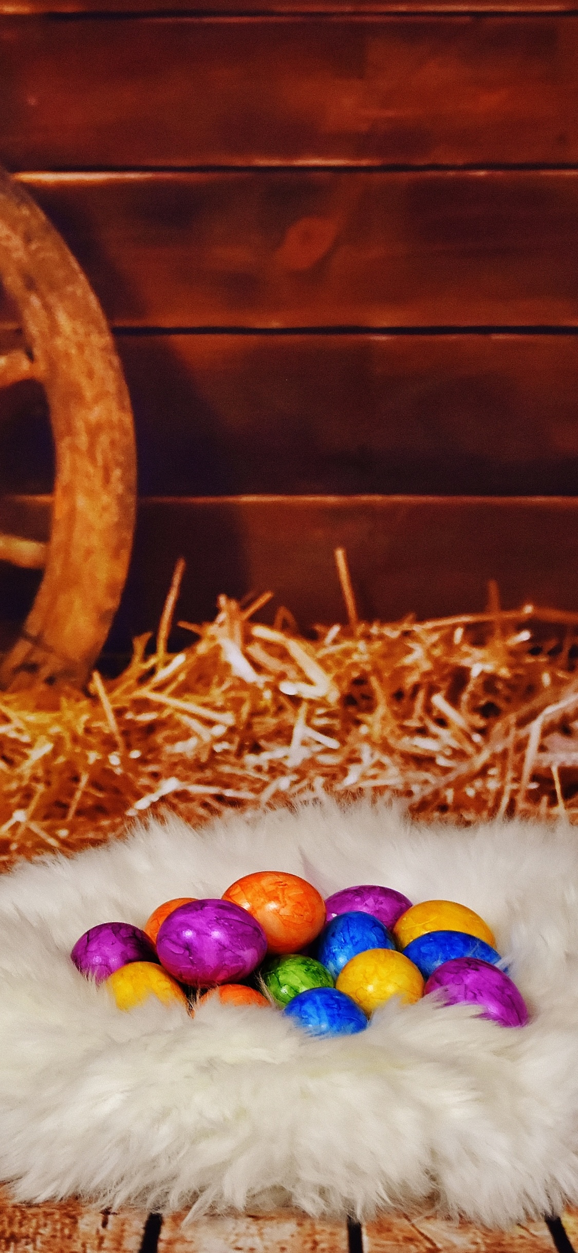 Happy Easter Western, Easter Egg, Holiday, Easter, Cat. Wallpaper in 1125x2436 Resolution