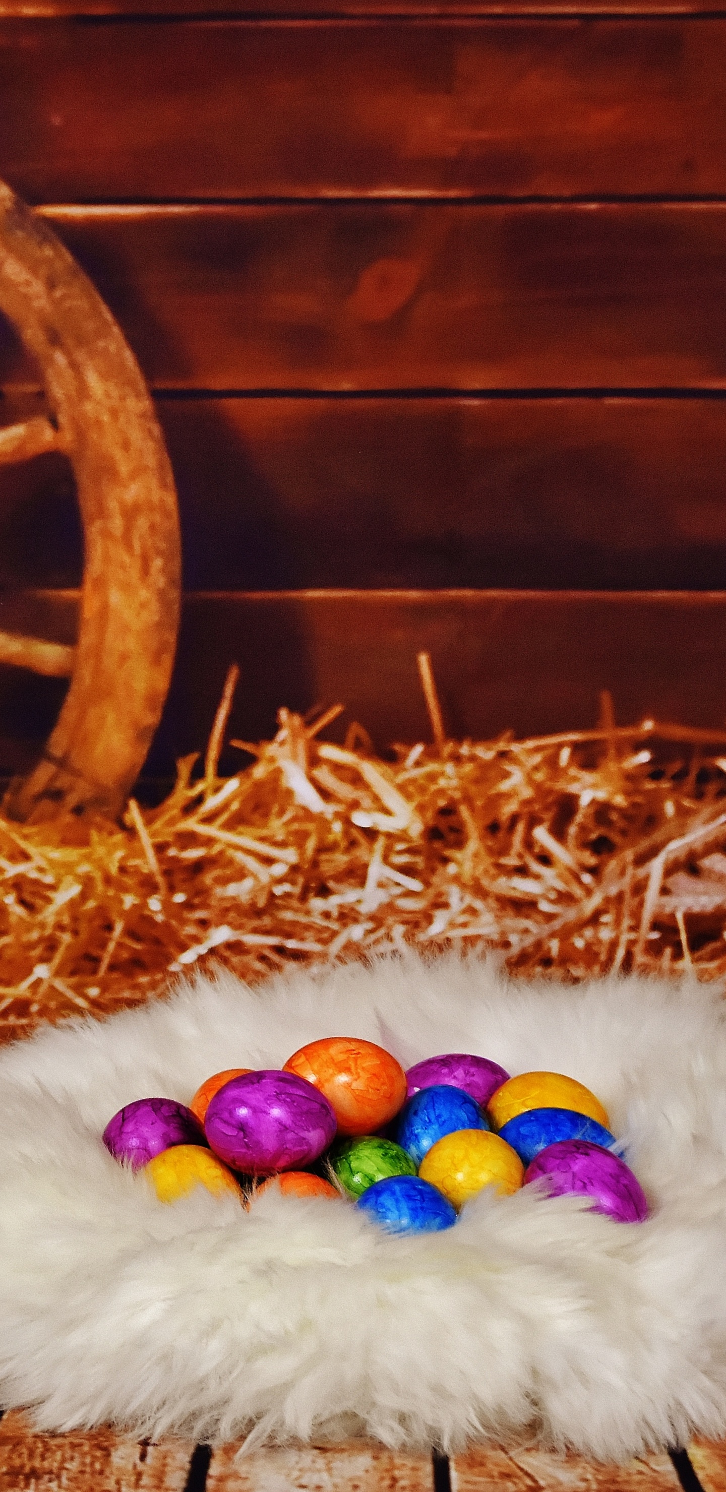 Happy Easter Western, Easter Egg, Holiday, Easter, Cat. Wallpaper in 1440x2960 Resolution