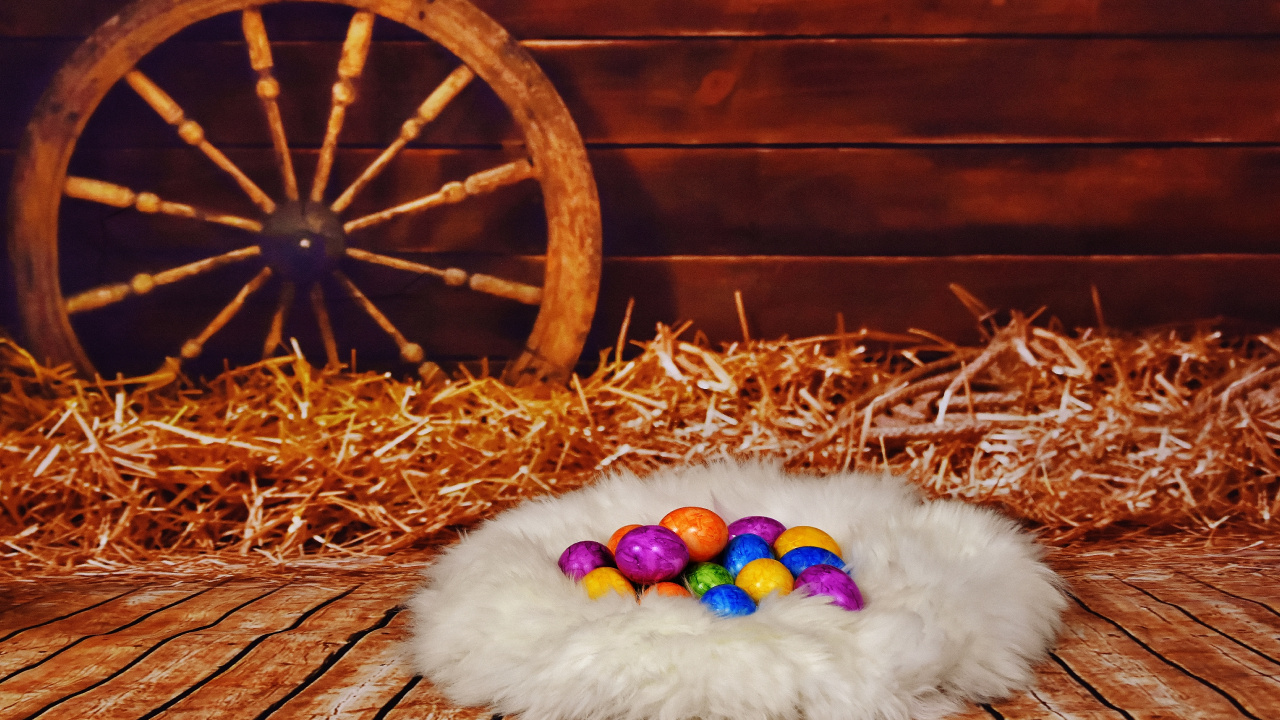 Huevo de Pascua, Pascua, Gato, Conejo, Huevo de Decoración. Wallpaper in 1280x720 Resolution