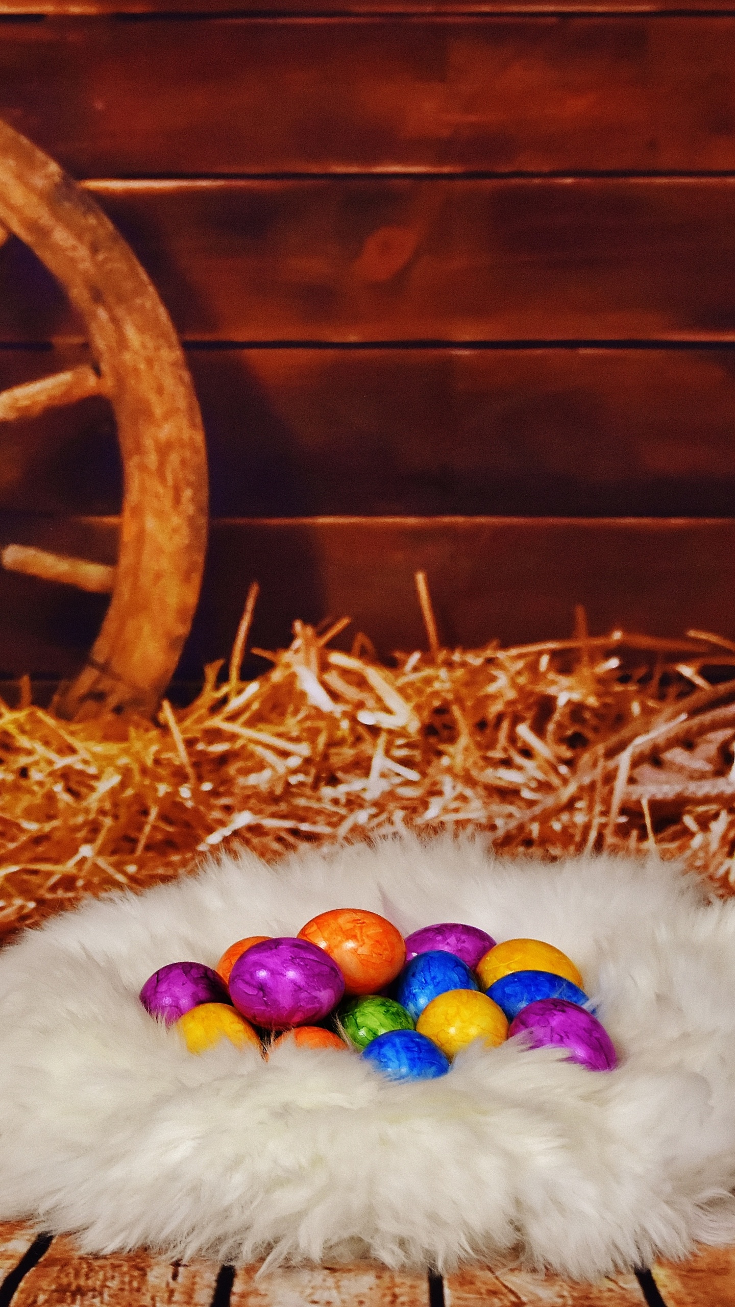 Huevo de Pascua, Pascua, Gato, Conejo, Huevo de Decoración. Wallpaper in 1440x2560 Resolution