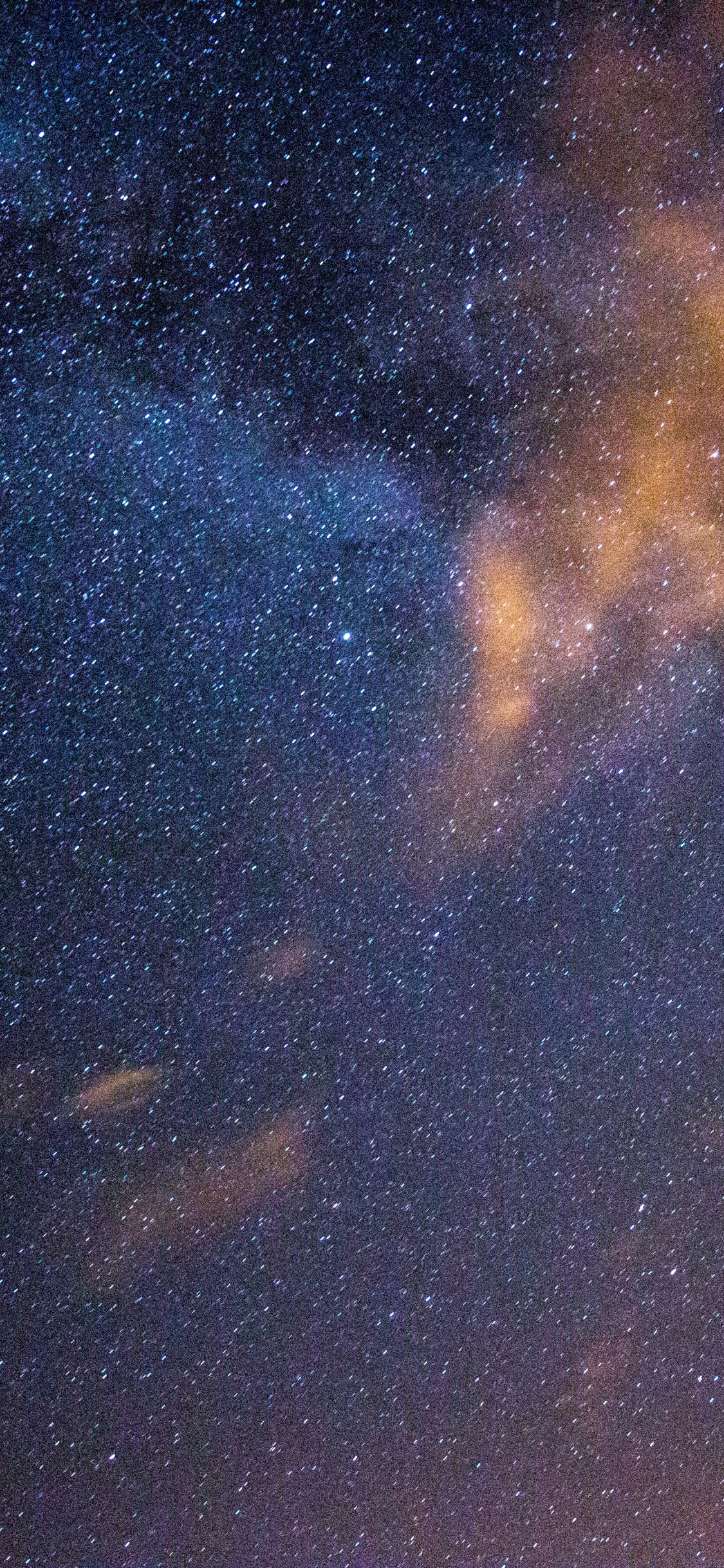 Silhouette Von Bäumen Unter Blauem Himmel Mit Sternen Während Der Nacht. Wallpaper in 1125x2436 Resolution