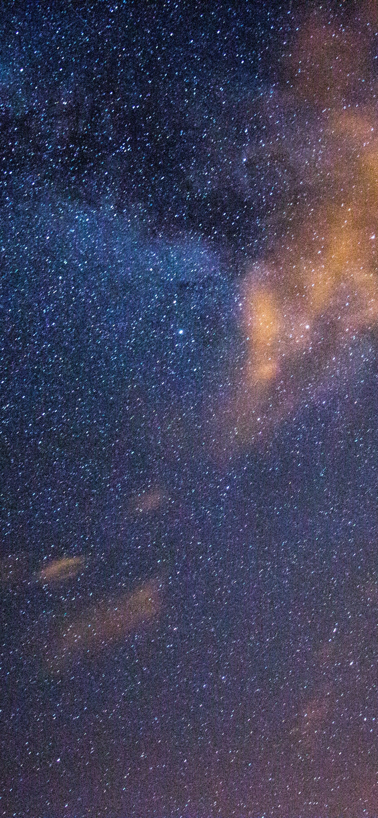 Silhouette Von Bäumen Unter Blauem Himmel Mit Sternen Während Der Nacht. Wallpaper in 1242x2688 Resolution