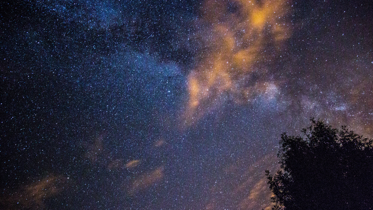 Silhouette Von Bäumen Unter Blauem Himmel Mit Sternen Während Der Nacht. Wallpaper in 1280x720 Resolution