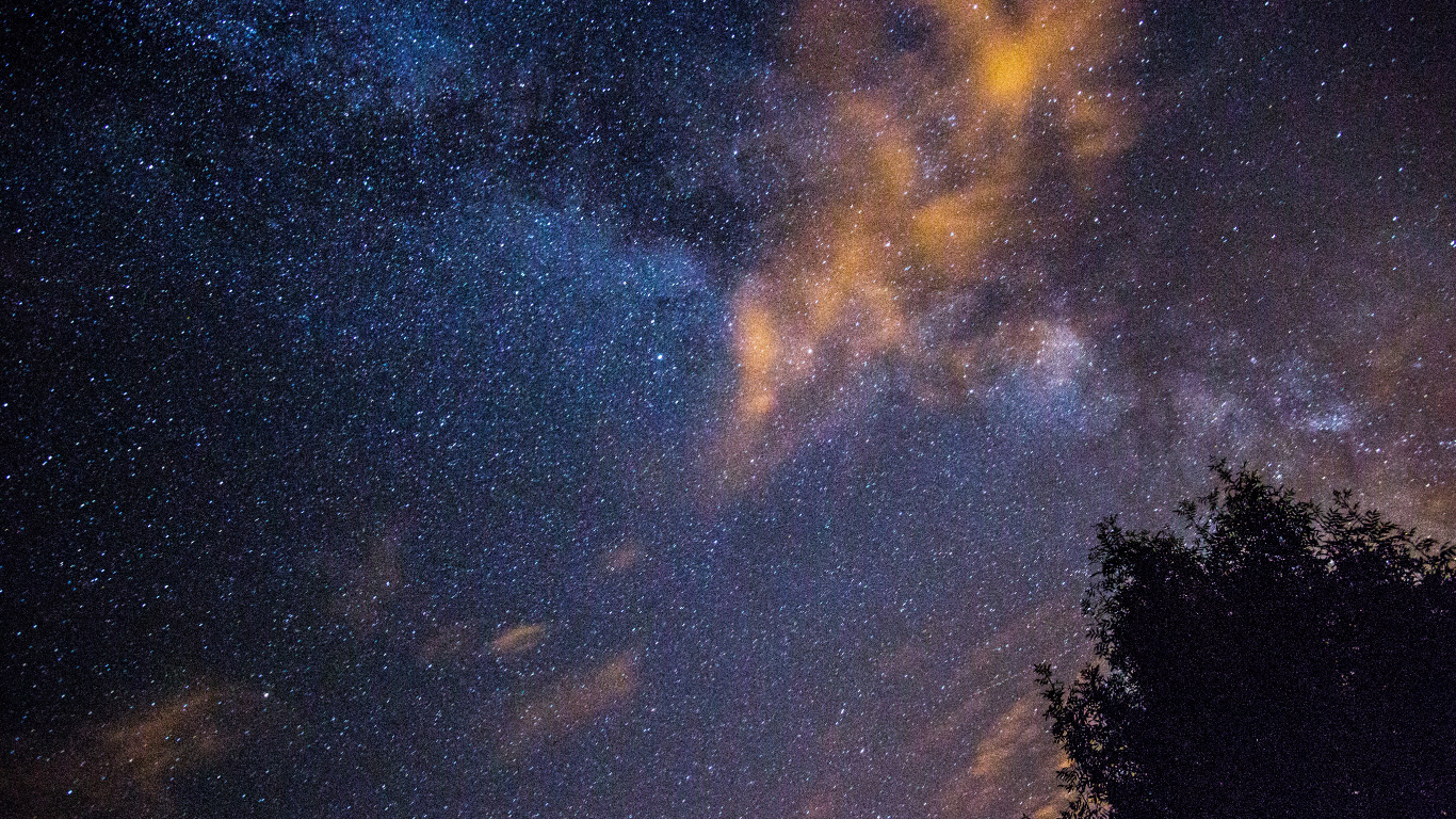 Silhouette Von Bäumen Unter Blauem Himmel Mit Sternen Während Der Nacht. Wallpaper in 1366x768 Resolution