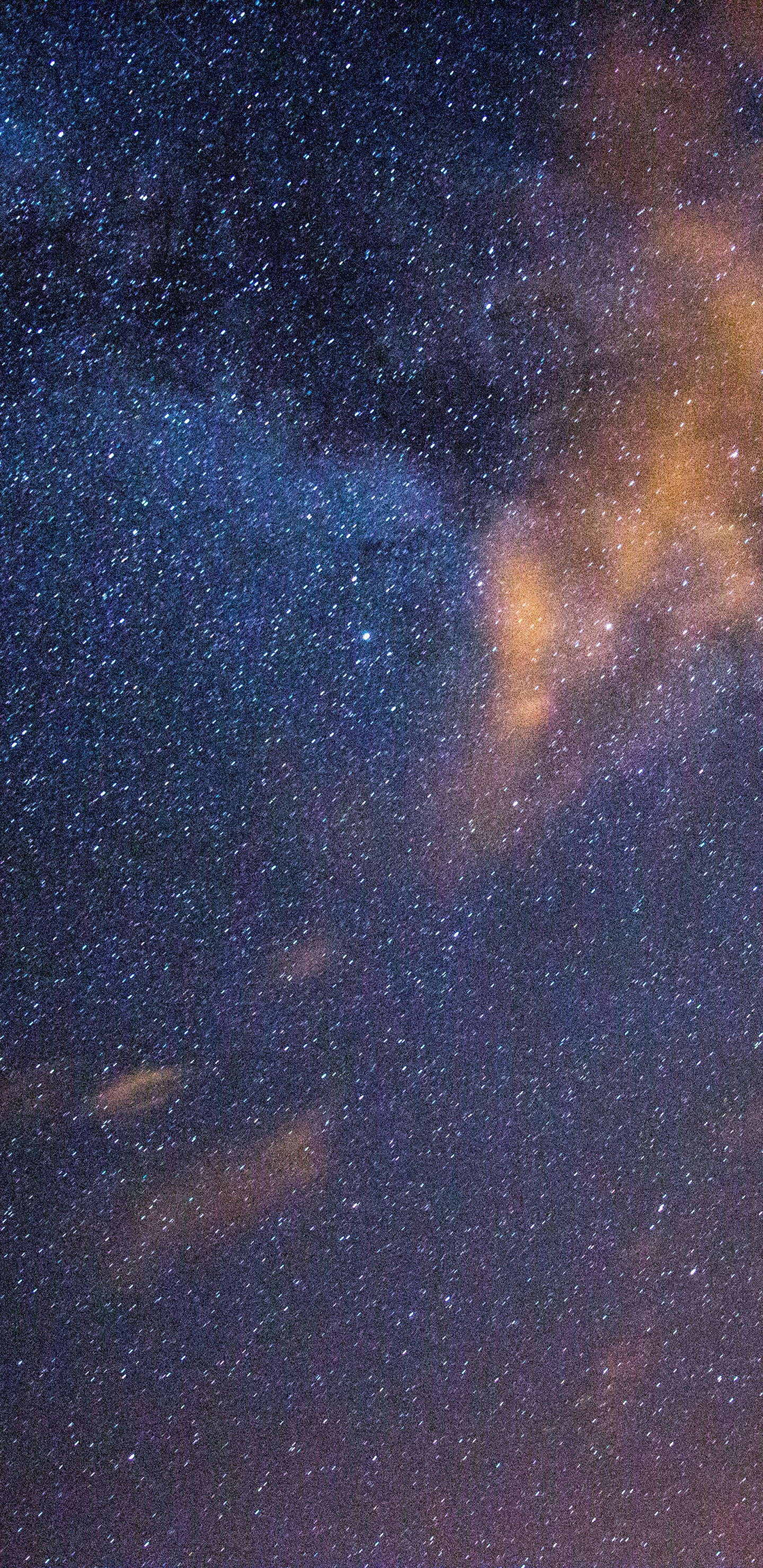 Silhouette Von Bäumen Unter Blauem Himmel Mit Sternen Während Der Nacht. Wallpaper in 1440x2960 Resolution