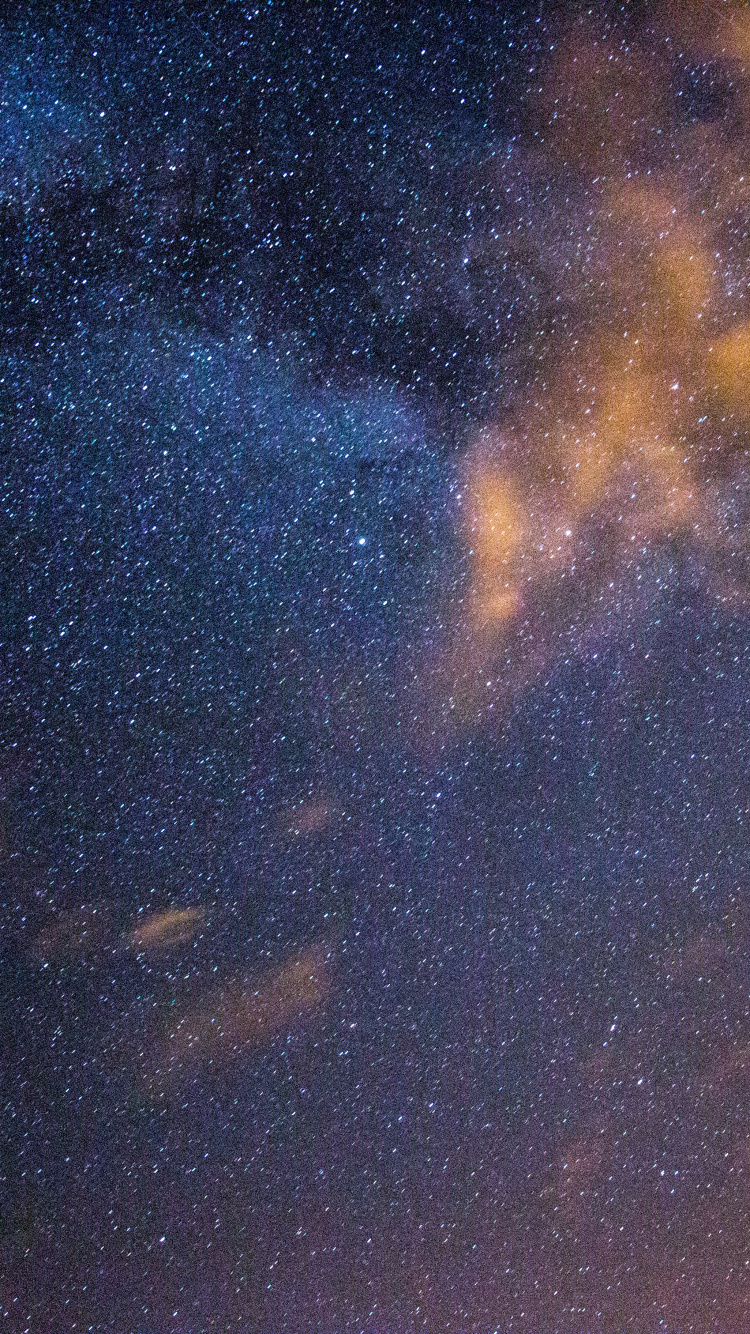Silhouette Von Bäumen Unter Blauem Himmel Mit Sternen Während Der Nacht. Wallpaper in 750x1334 Resolution