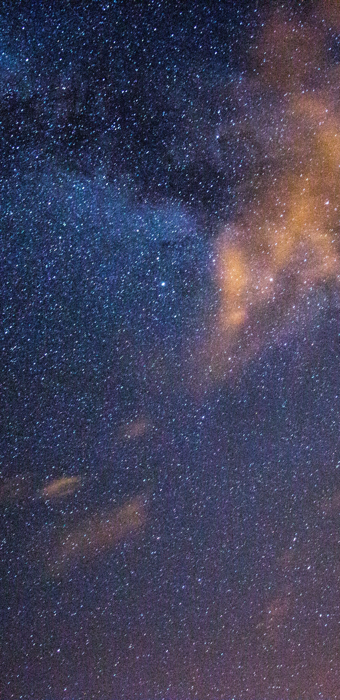 Silueta de Árboles Bajo un Cielo Azul Con Estrellas Durante la Noche. Wallpaper in 1440x2960 Resolution