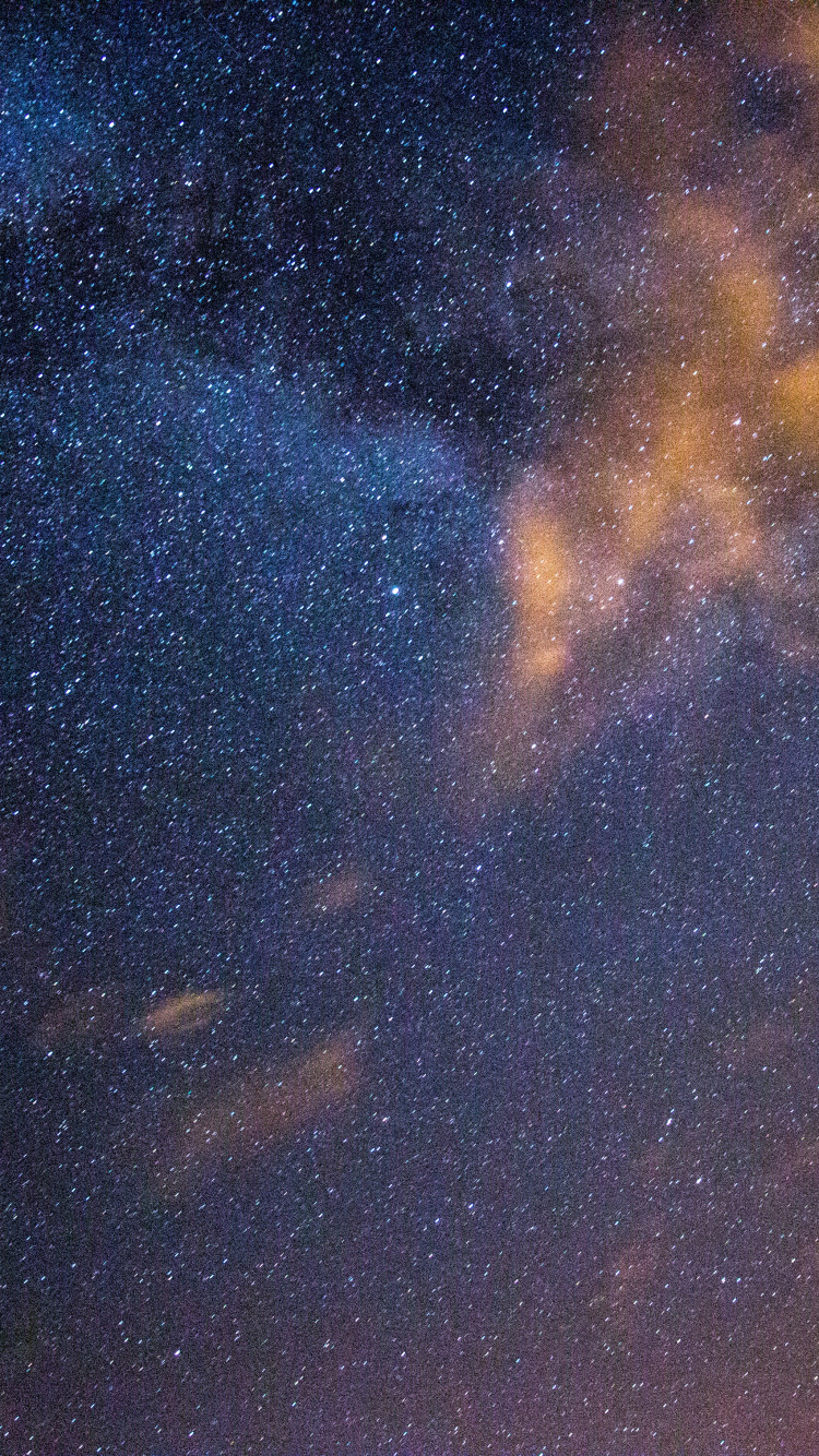 Silueta de Árboles Bajo un Cielo Azul Con Estrellas Durante la Noche. Wallpaper in 750x1334 Resolution