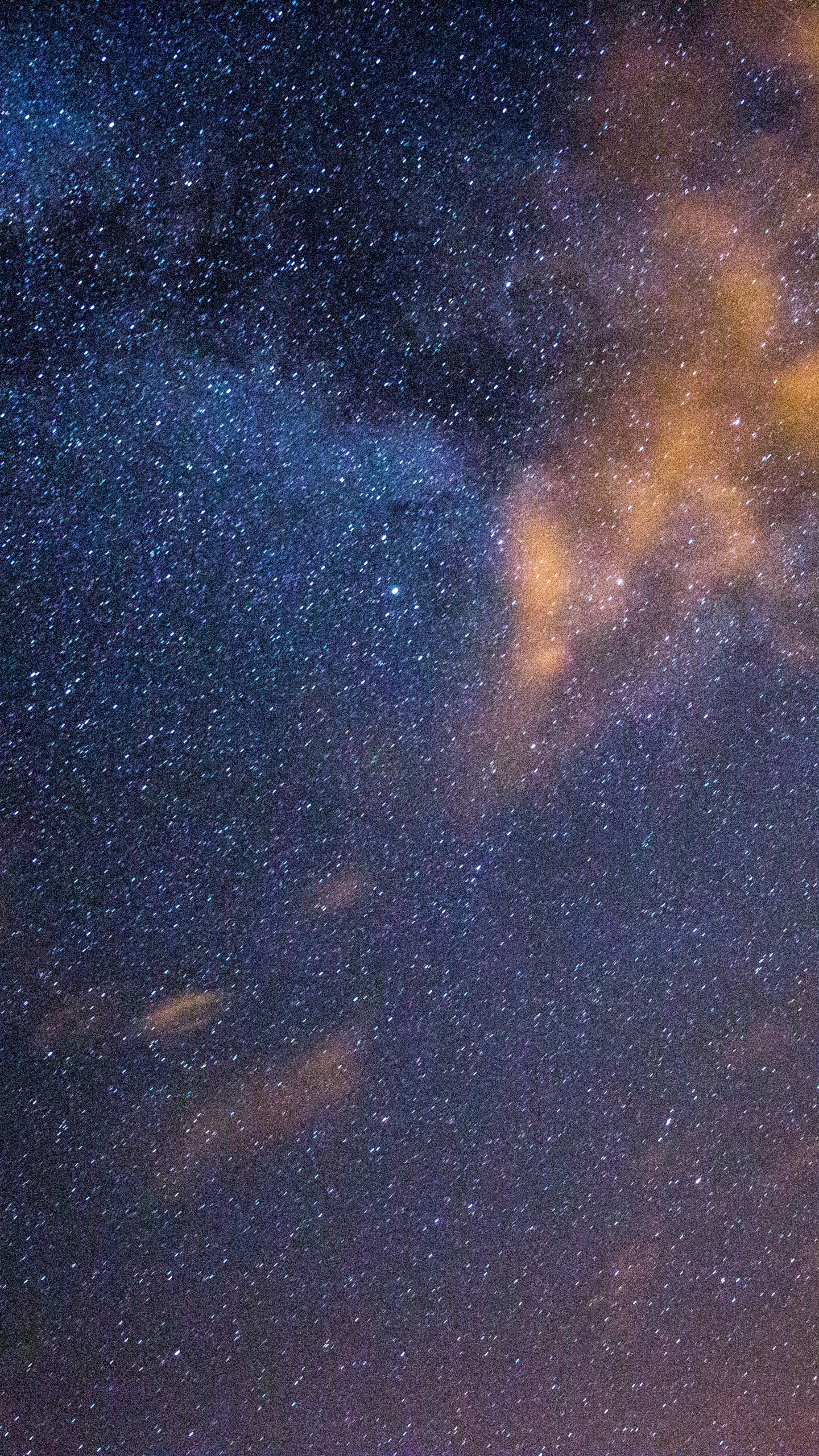 Silhouette D'arbres Sous Ciel Bleu Avec Des Étoiles Pendant la Nuit. Wallpaper in 1440x2560 Resolution