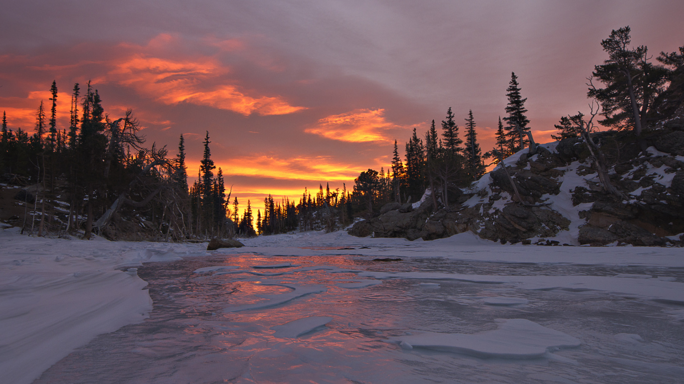 Snow Covered Field With Trees During Sunset. Wallpaper in 1366x768 Resolution