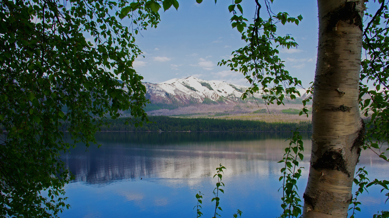 Arbres Verts Près du Lac et de la Montagne Pendant la Journée. Wallpaper in 1366x768 Resolution