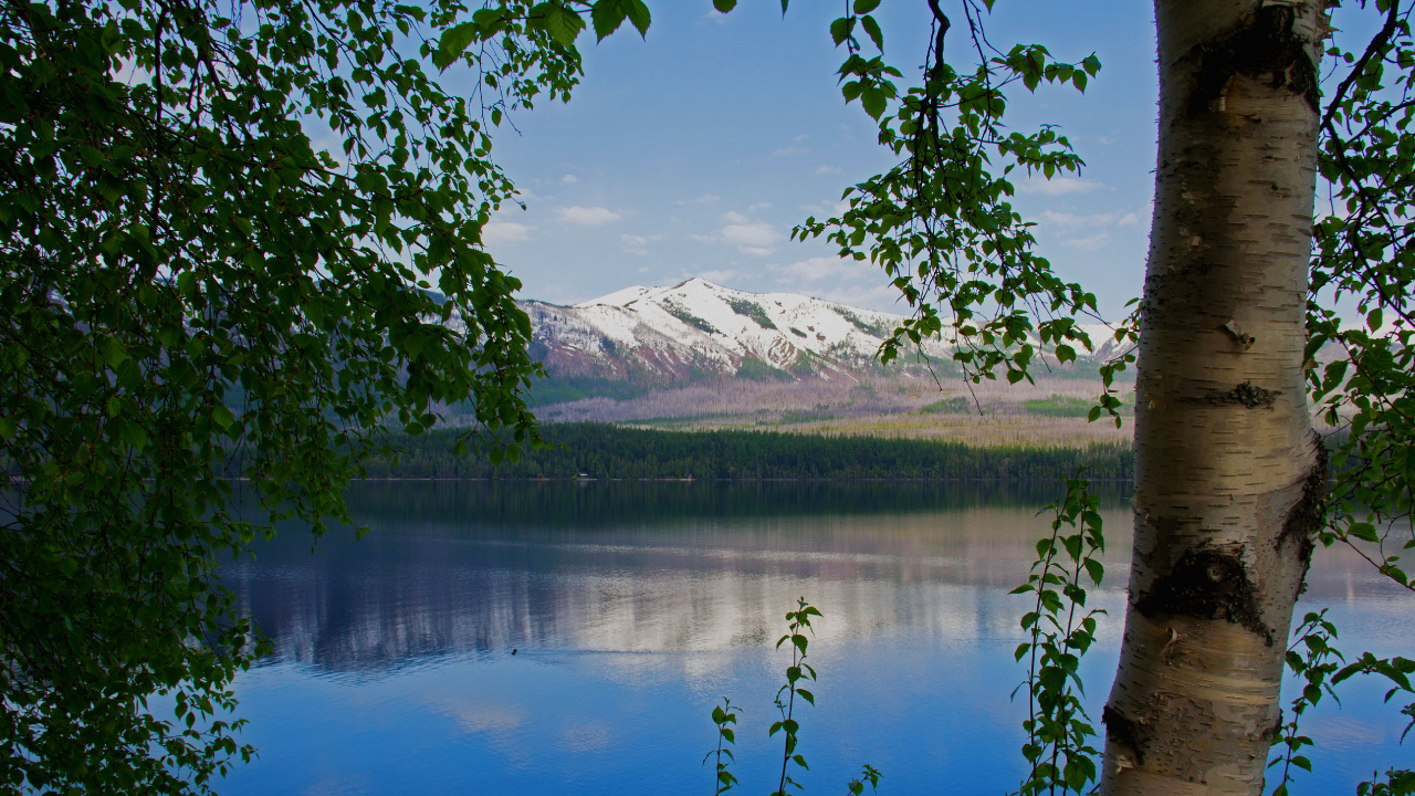 Grüne Bäume in Der Nähe Von See Und Berg Tagsüber. Wallpaper in 1280x720 Resolution